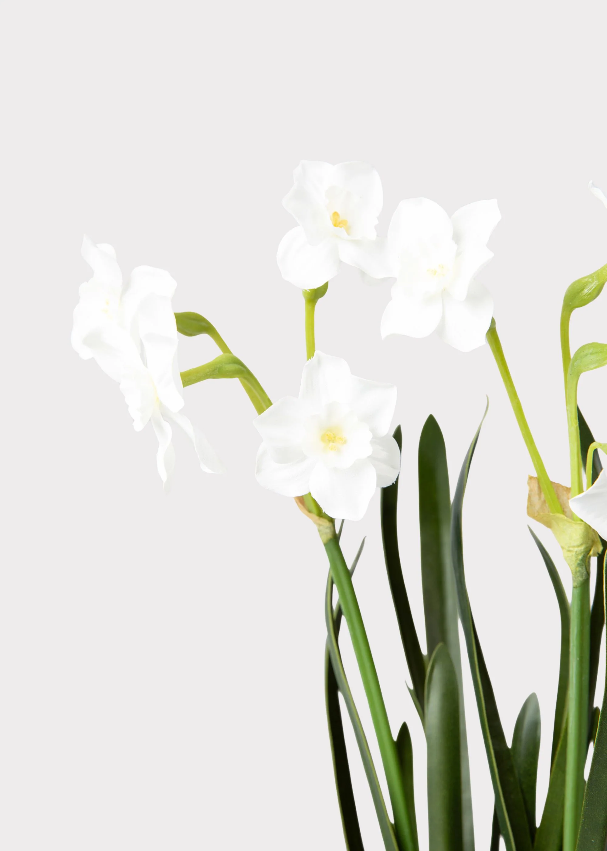 Artificial Paperwhite Narcissus Drop-In Plant - 17" - Image 3