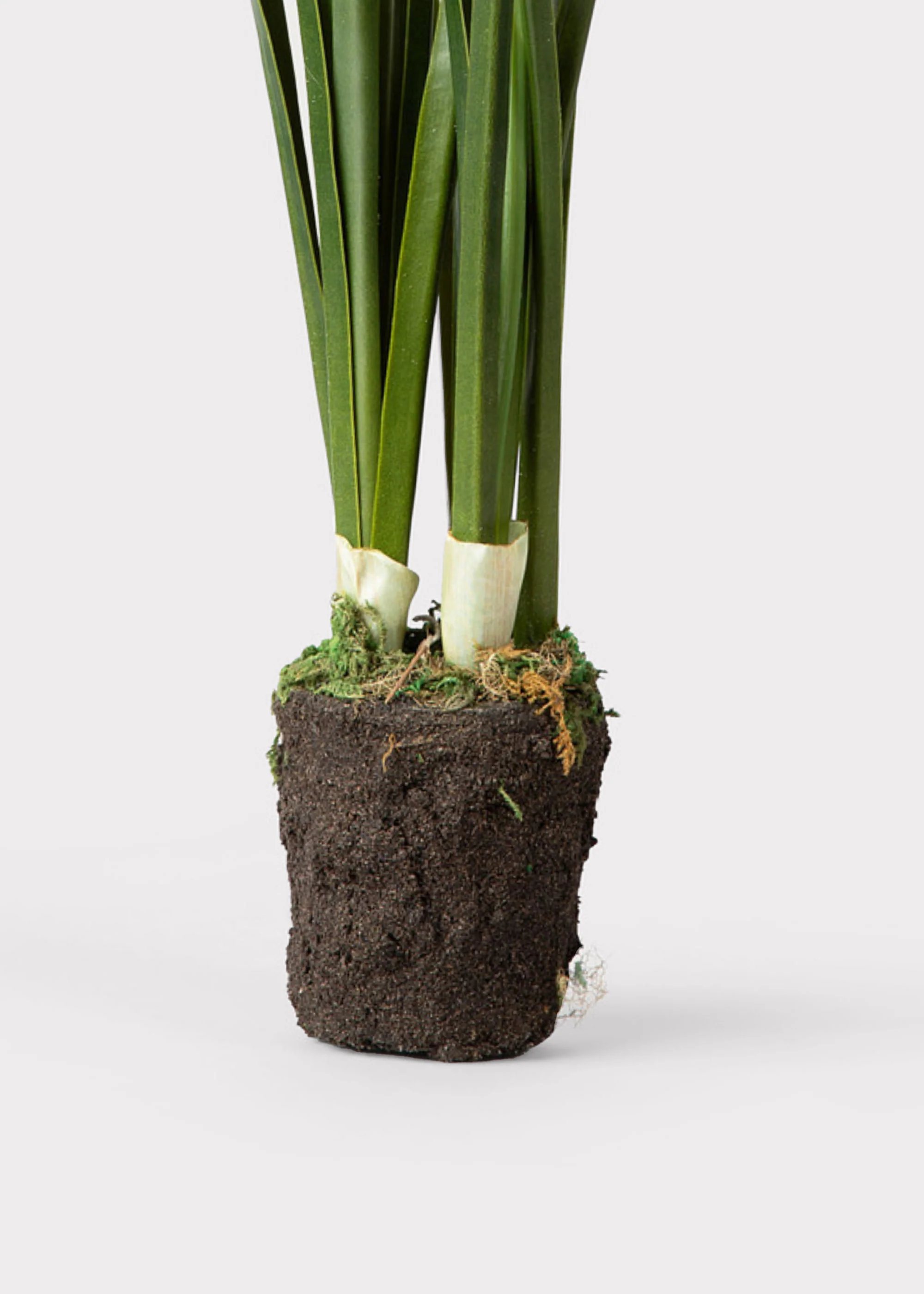 Artificial Paperwhite Narcissus Drop-In Plant - 17" - Image 4