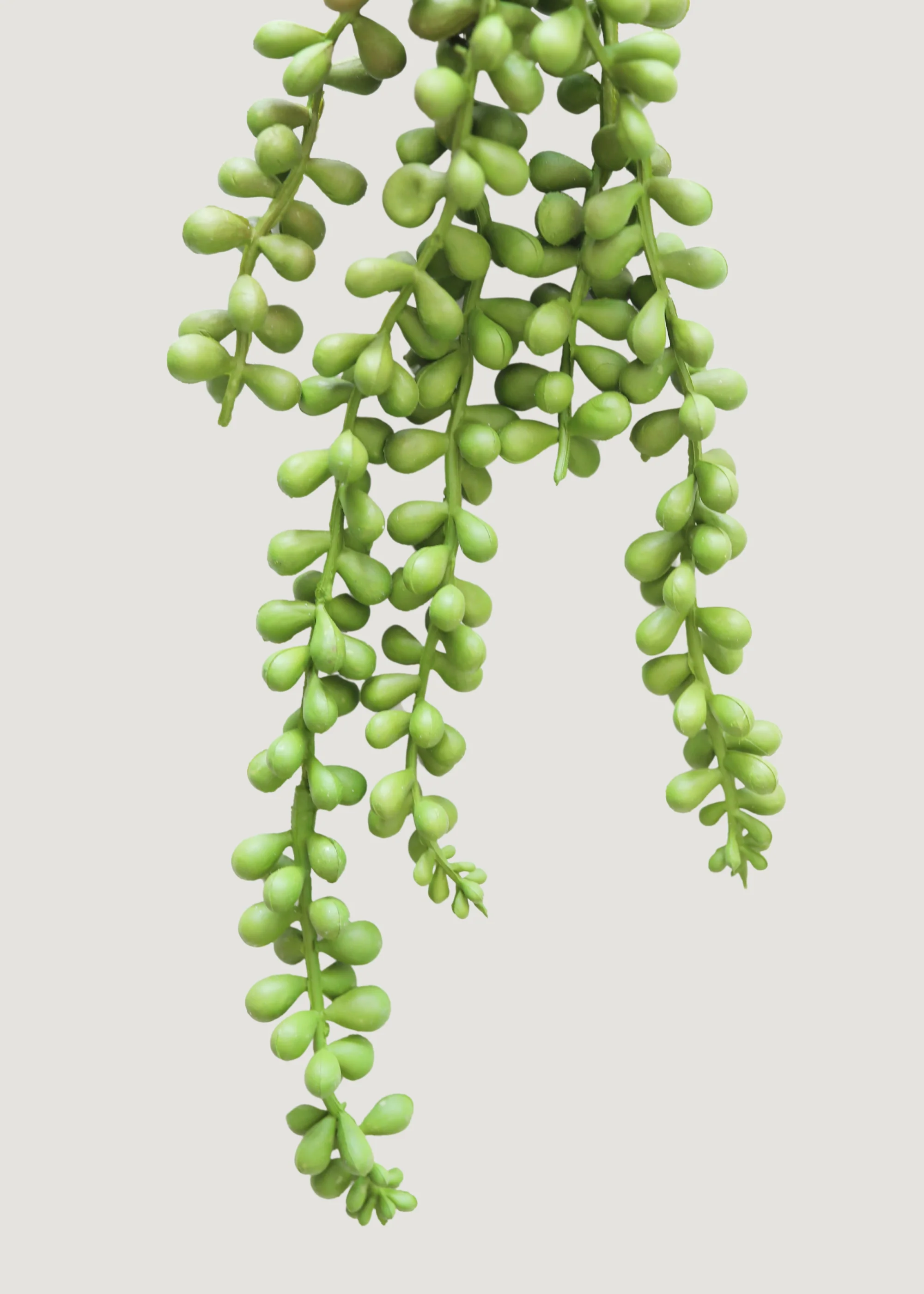 Artificial String of Pearls Hanging Succulent - 13" - Image 2