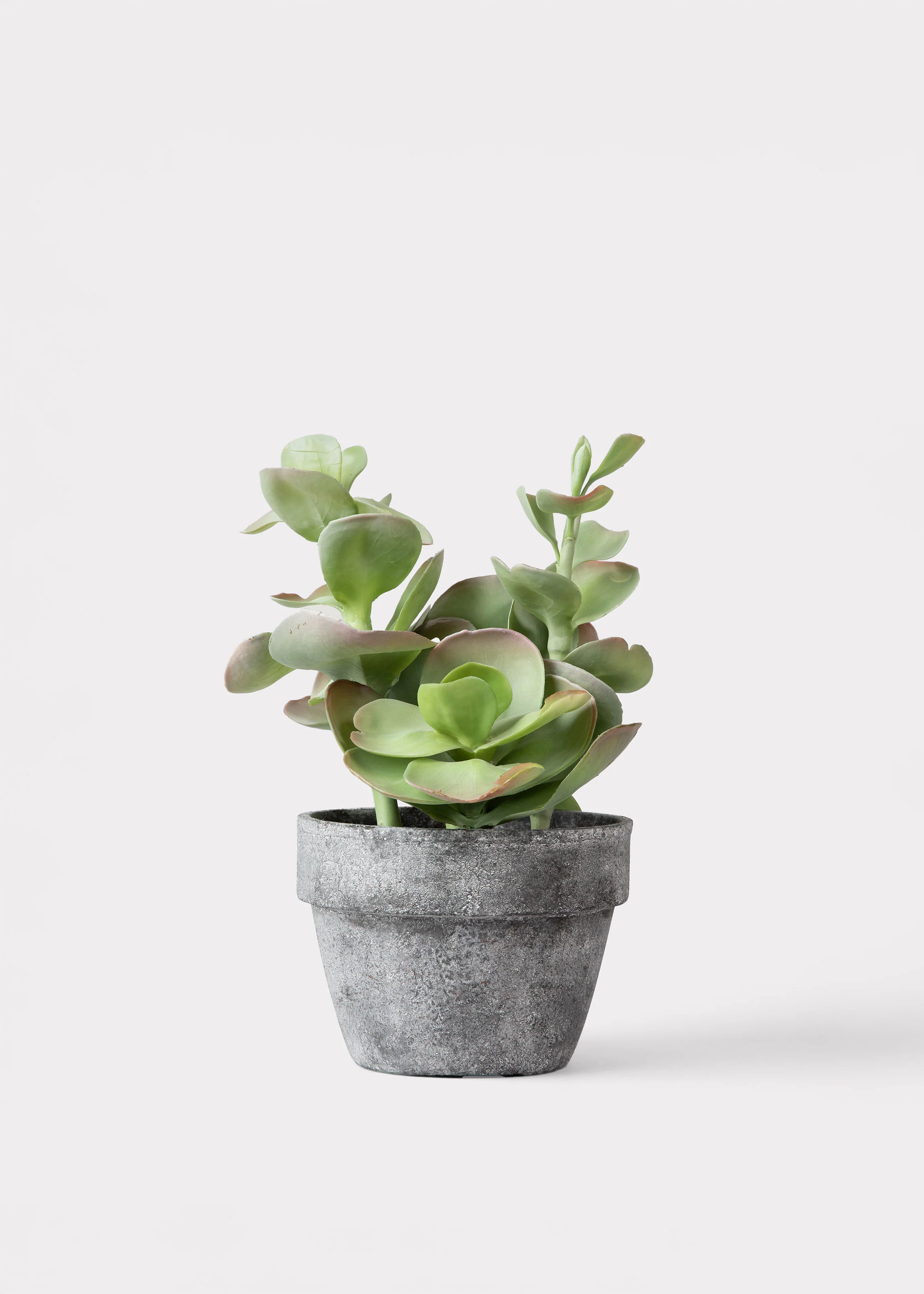 Fake Potted Artificial Succulent Plant - 16.5"