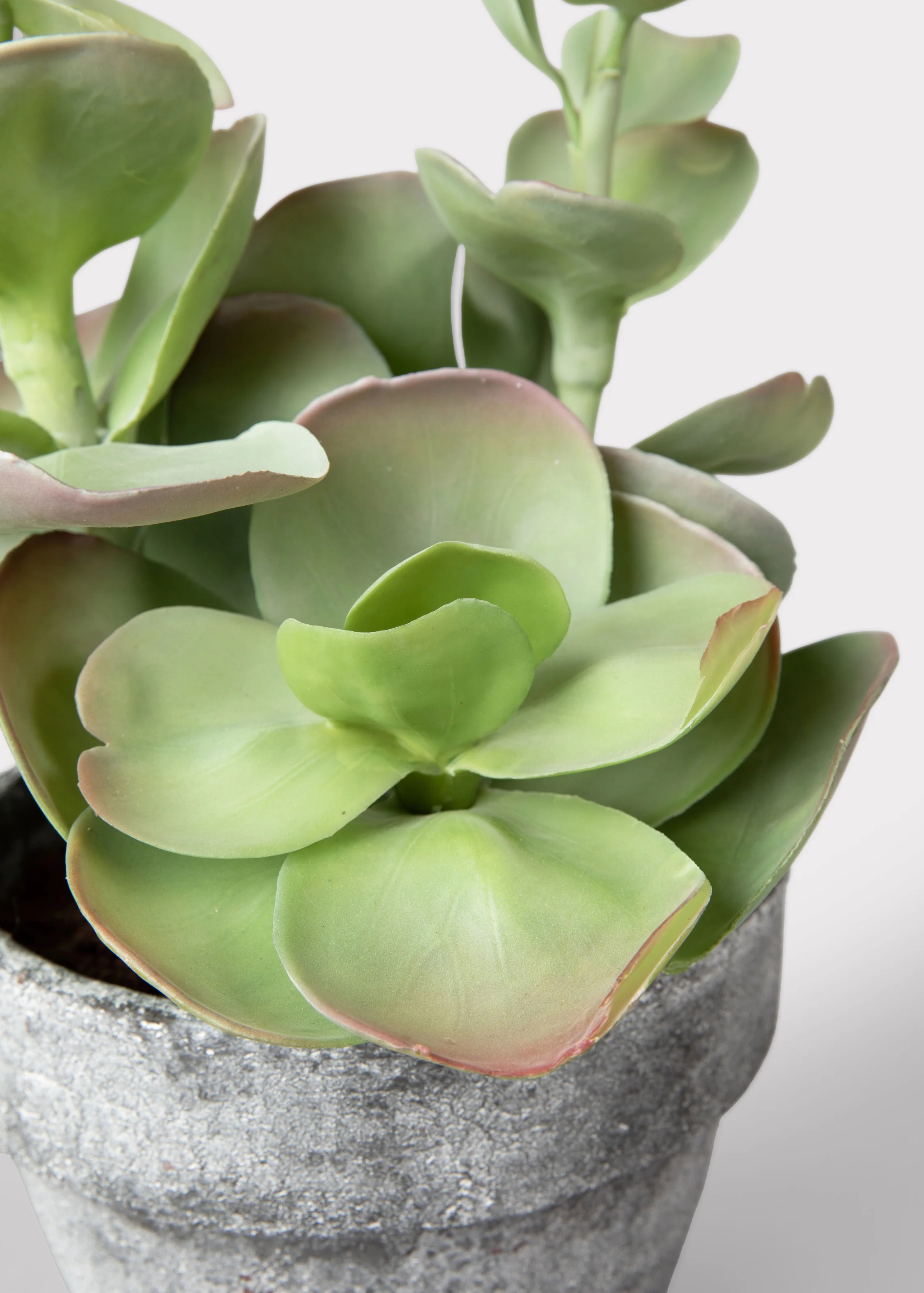Fake Potted Artificial Succulent Plant - 16.5" - Image 2