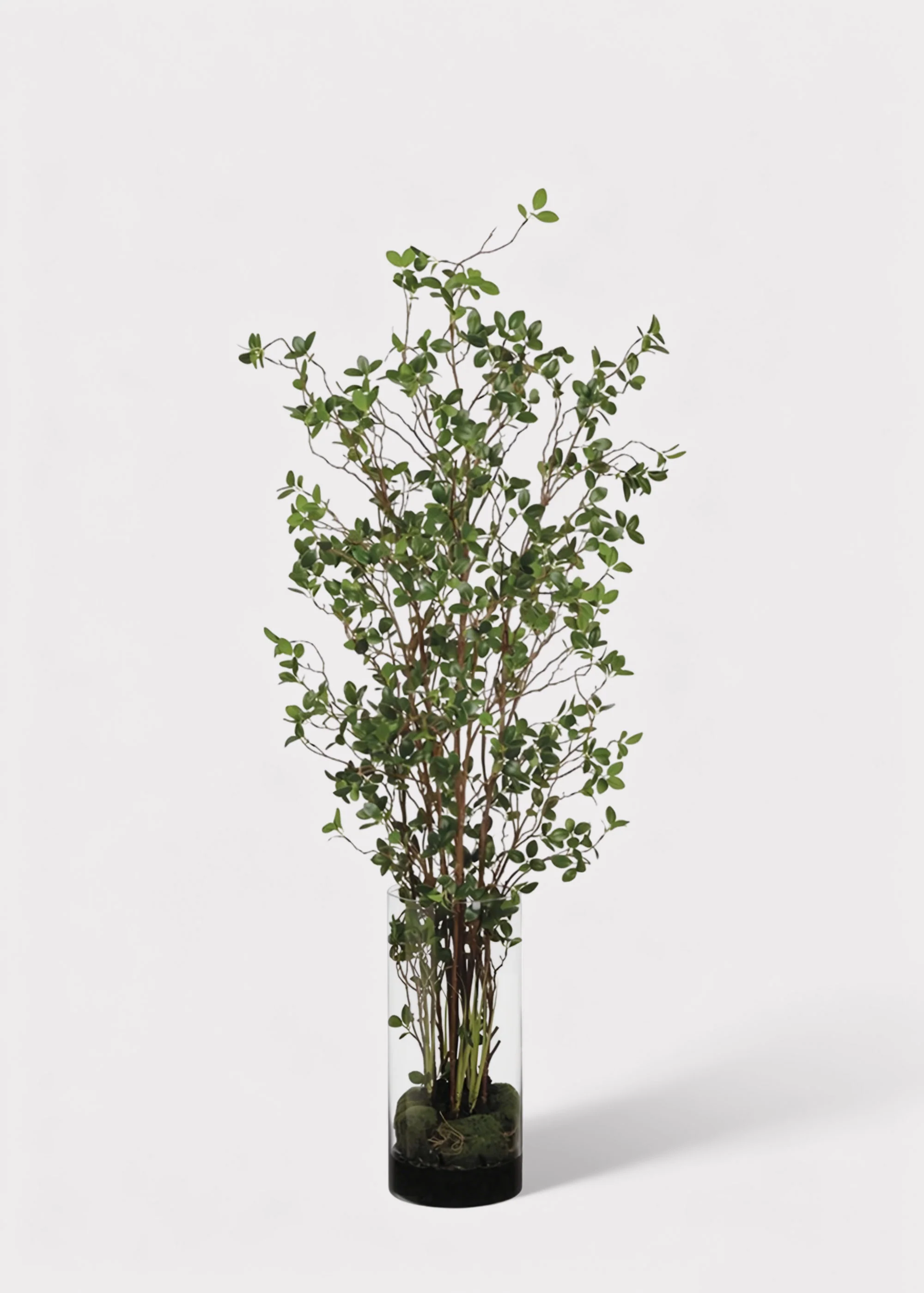 Artificial Tree Plant in Glass Cylinder Vase - 60"
