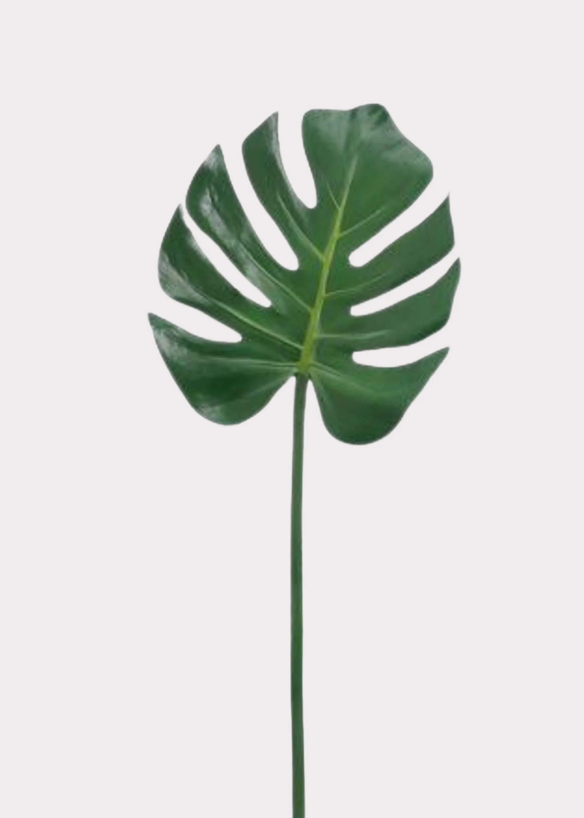 Artificial Tropical Monstera Leaf - 29"