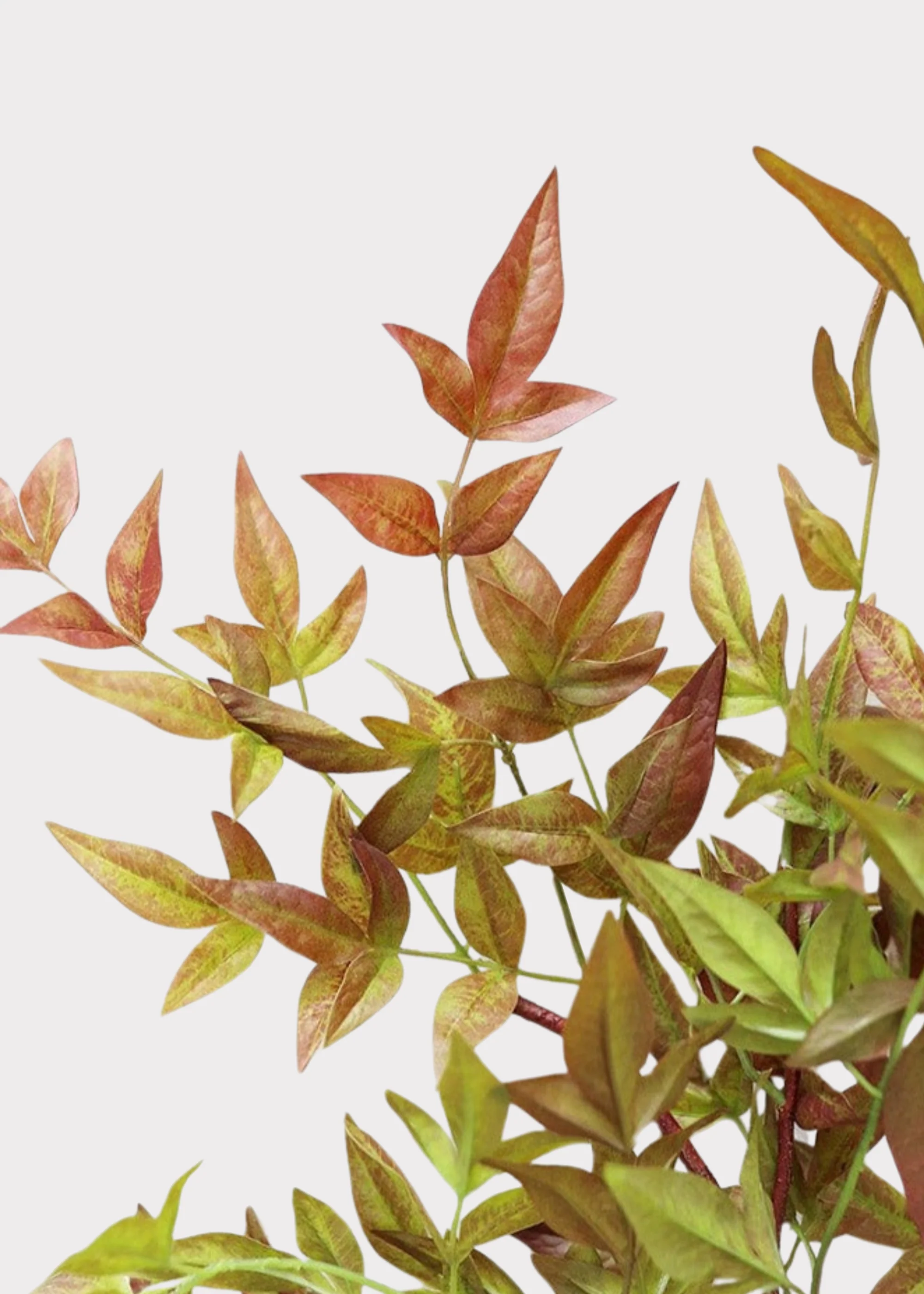 Artificial Nandina Leaf Branch - 39" - Image 4