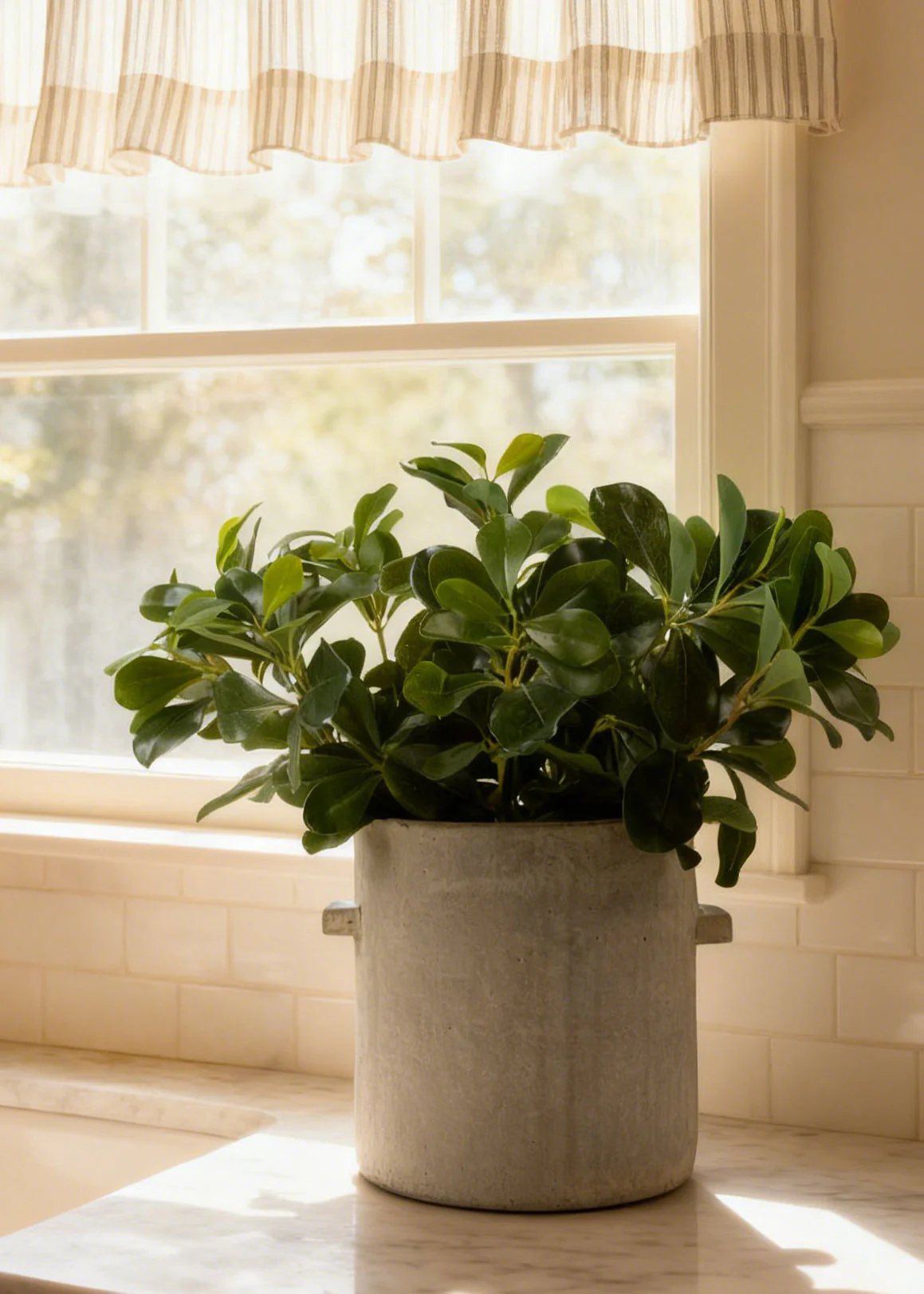 SAVE - Natural Touch Artificial Wax Privet Leaf Plant - 15" - Image 2