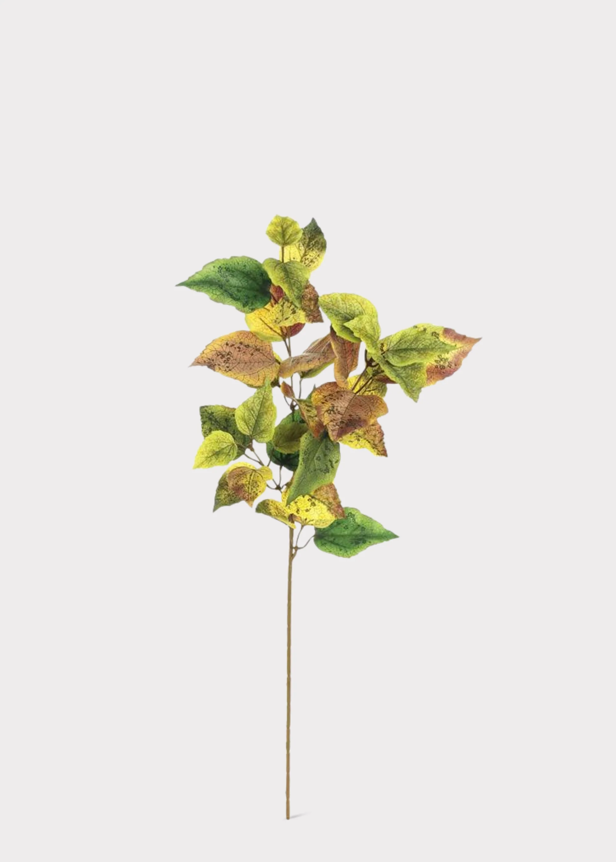 Autumn Brown and Green Fake Cottonwood Leaf Branch - 28" - Image 2