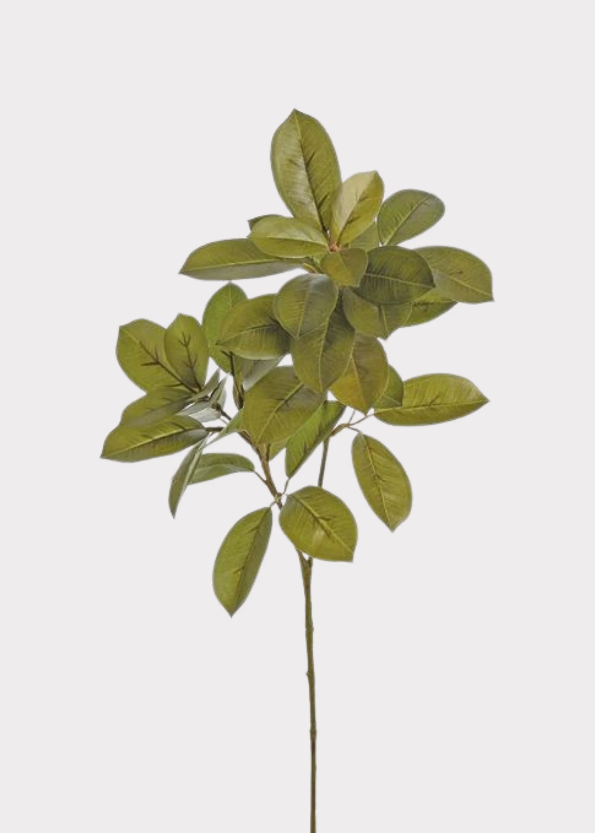 Autumn Olive Green Artificial Citrus Leaf Branch - 29.5"