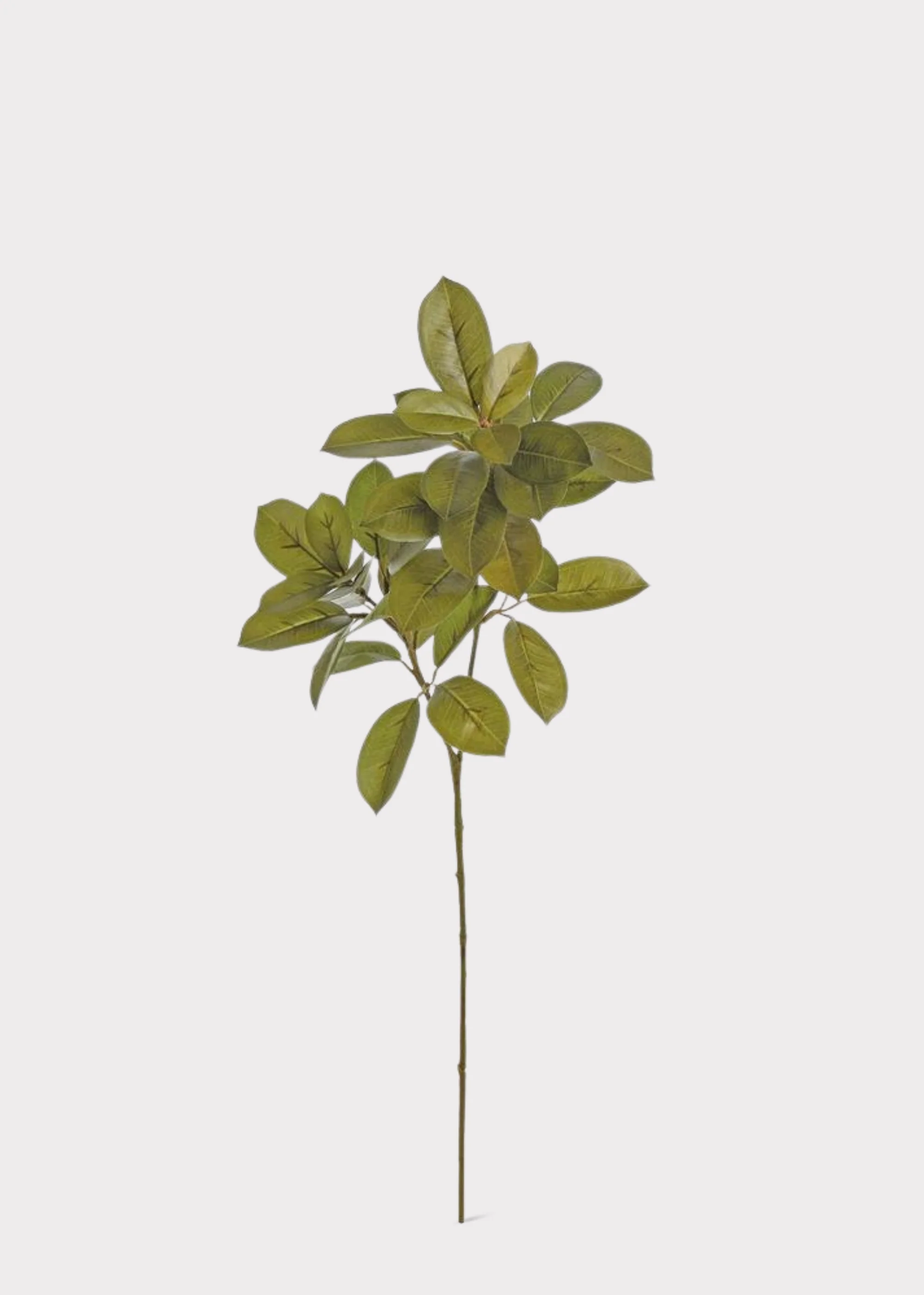 Autumn Olive Green Artificial Citrus Leaf Branch - 29.5" - Image 2