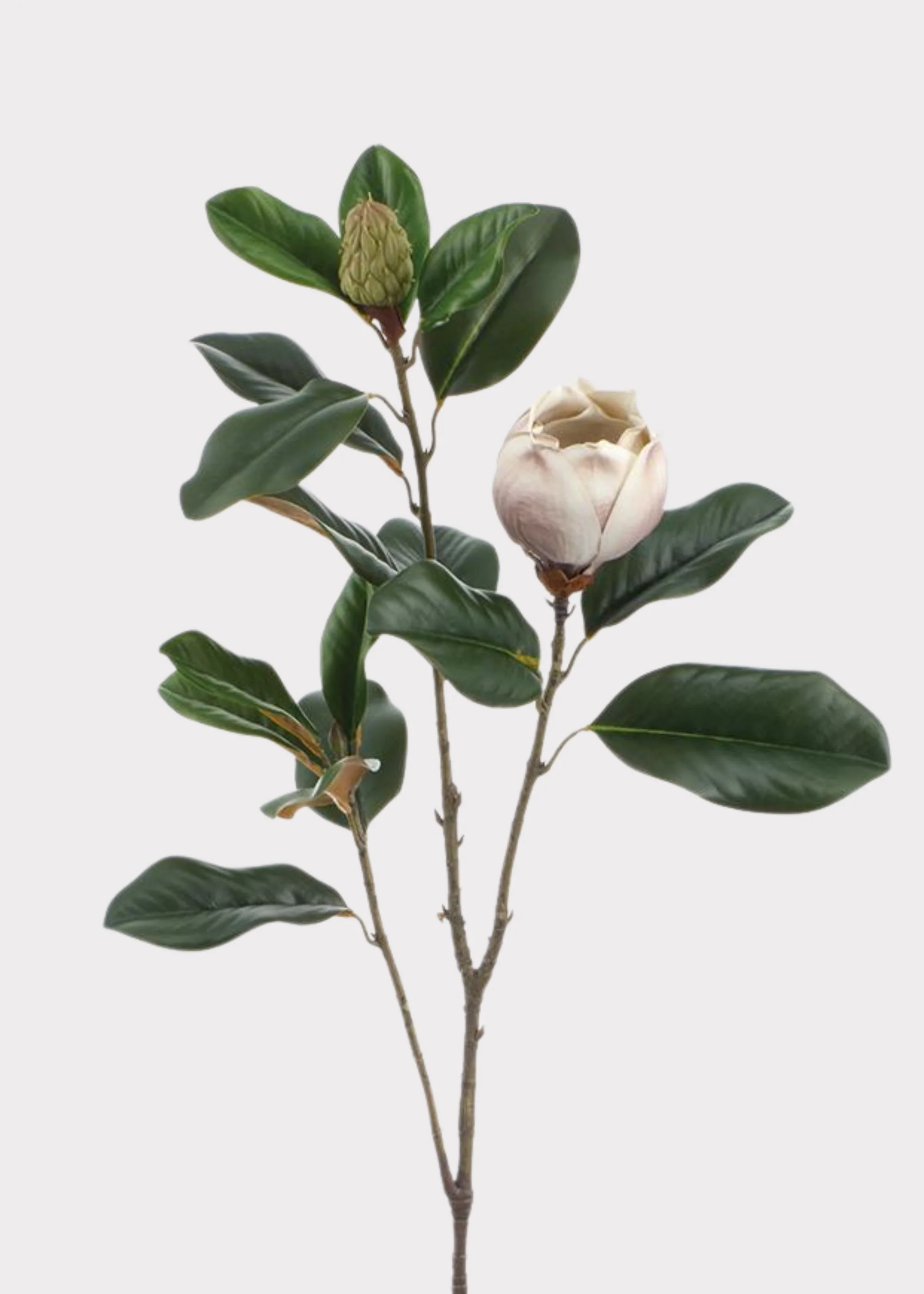Beige and Taupe Fake Blooming Magnolia Flower Branch - 42"
