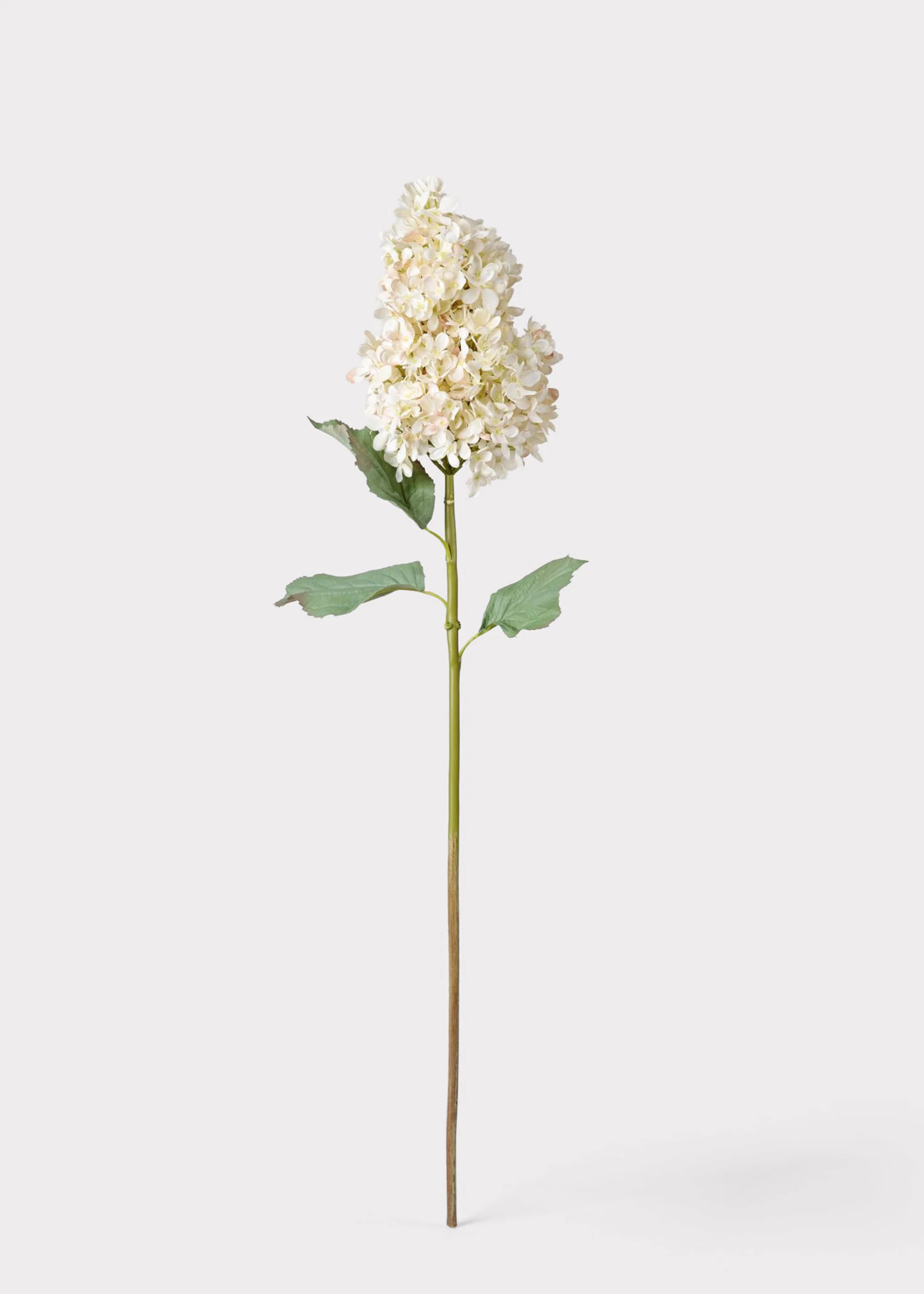 SAVE - Large Deluxe Faux Dried Cone Hydrangea in Parchment - Image 4
