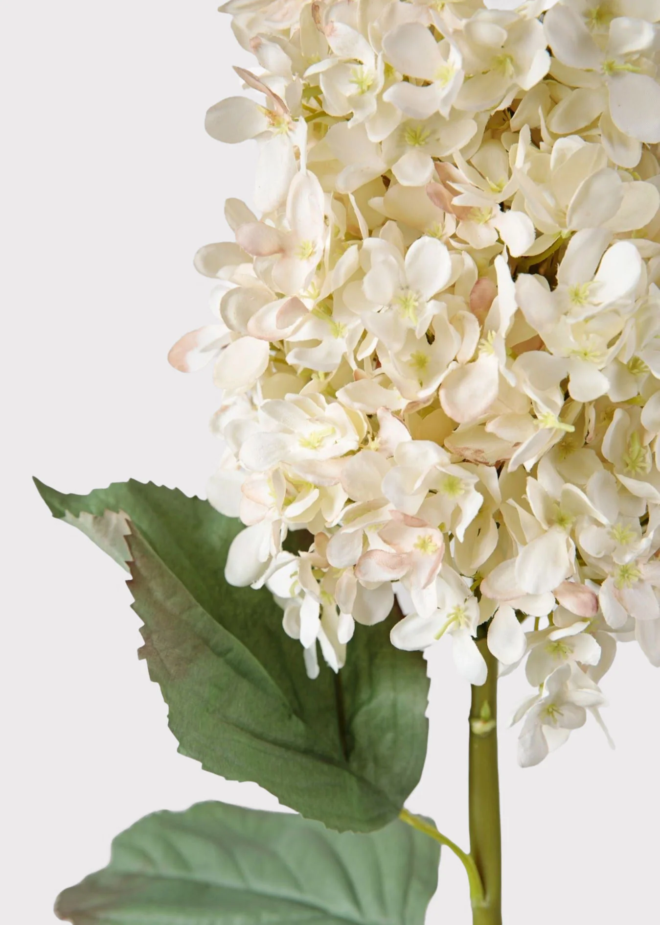 SAVE - Large Deluxe Faux Dried Cone Hydrangea in Parchment - Image 5