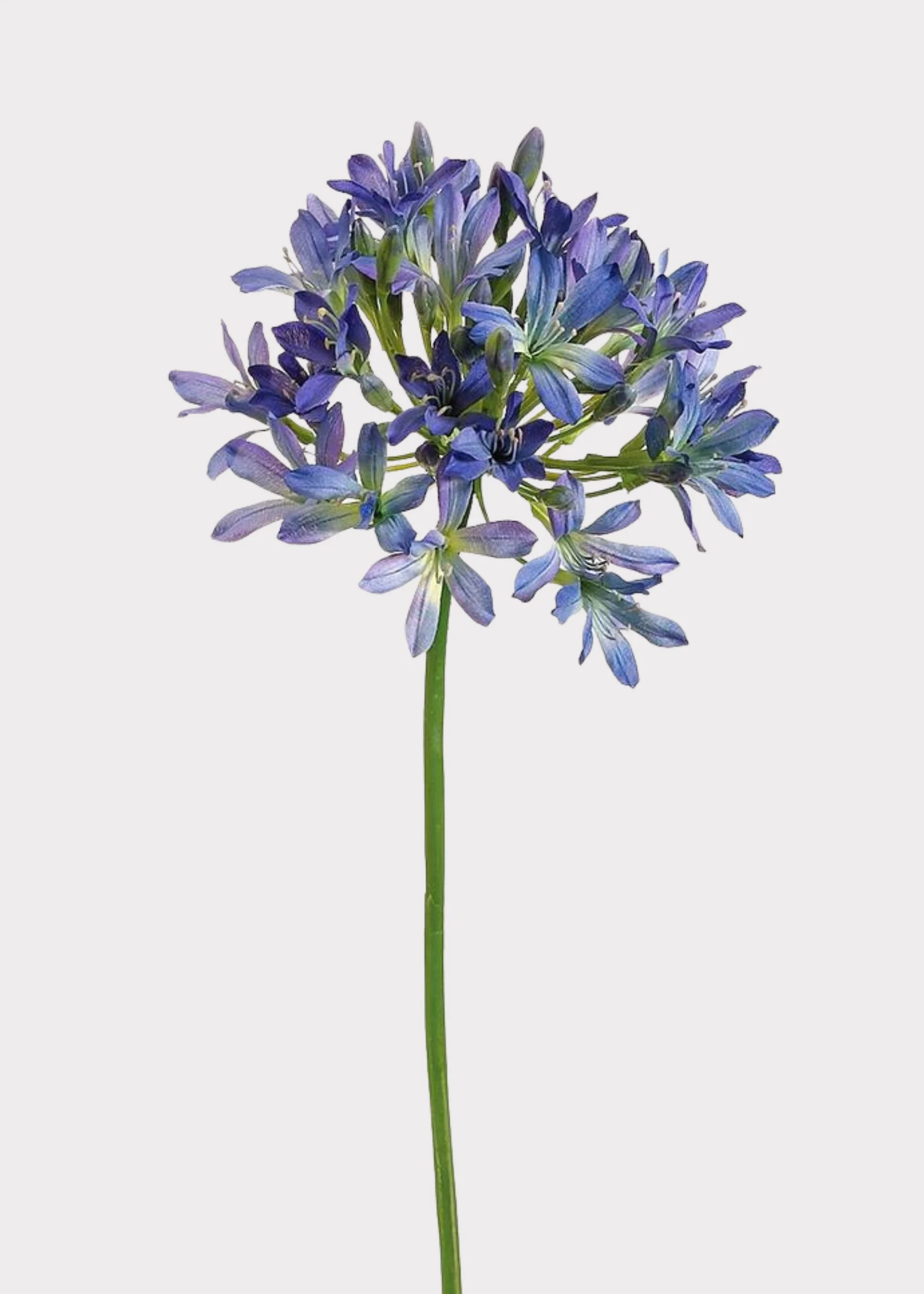 Blue and Purple Fake Agapanthus Flower - 35"