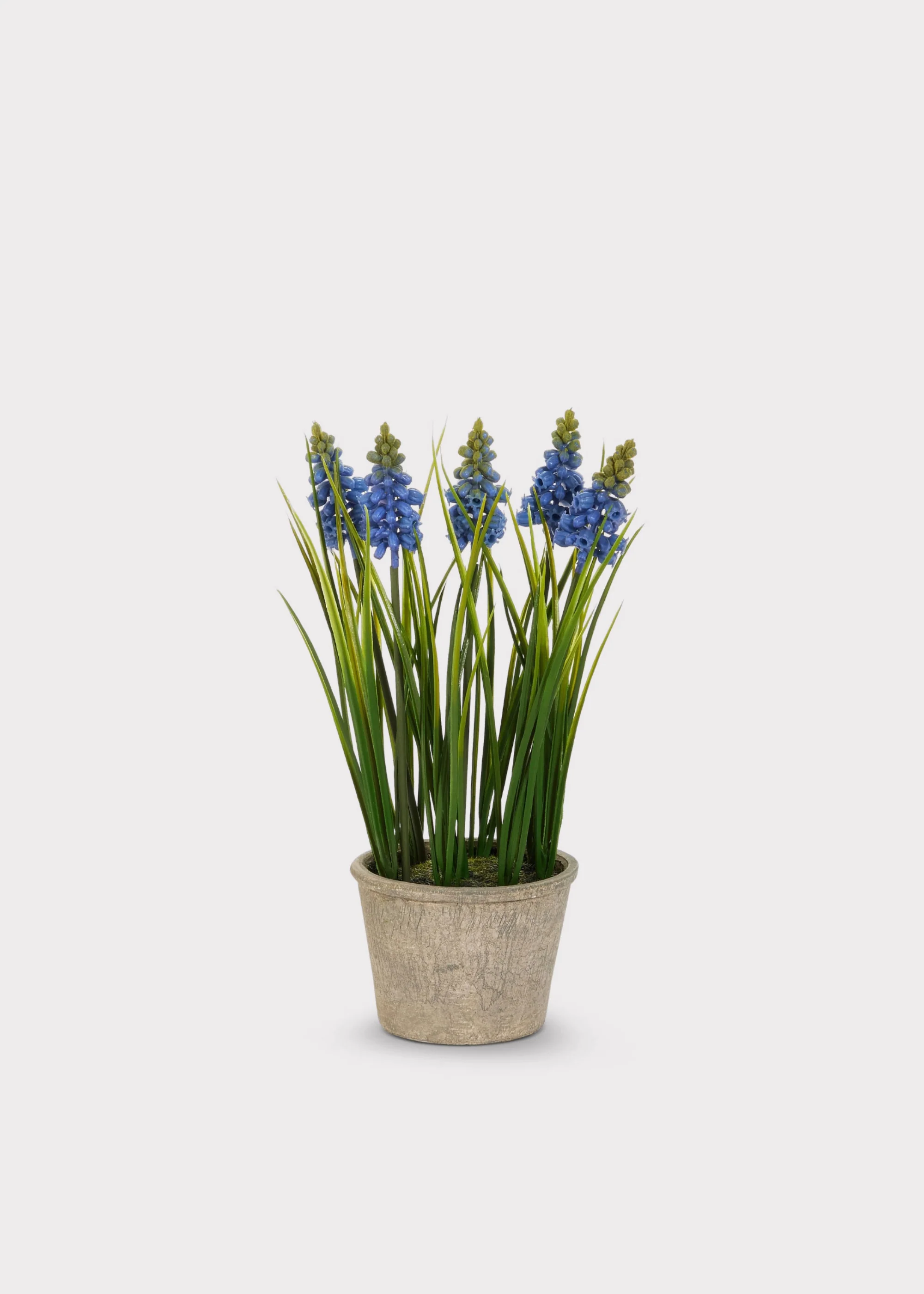 Blue Blooming Grape Hyacinth Fake Flower Potted Plant - 11.5"