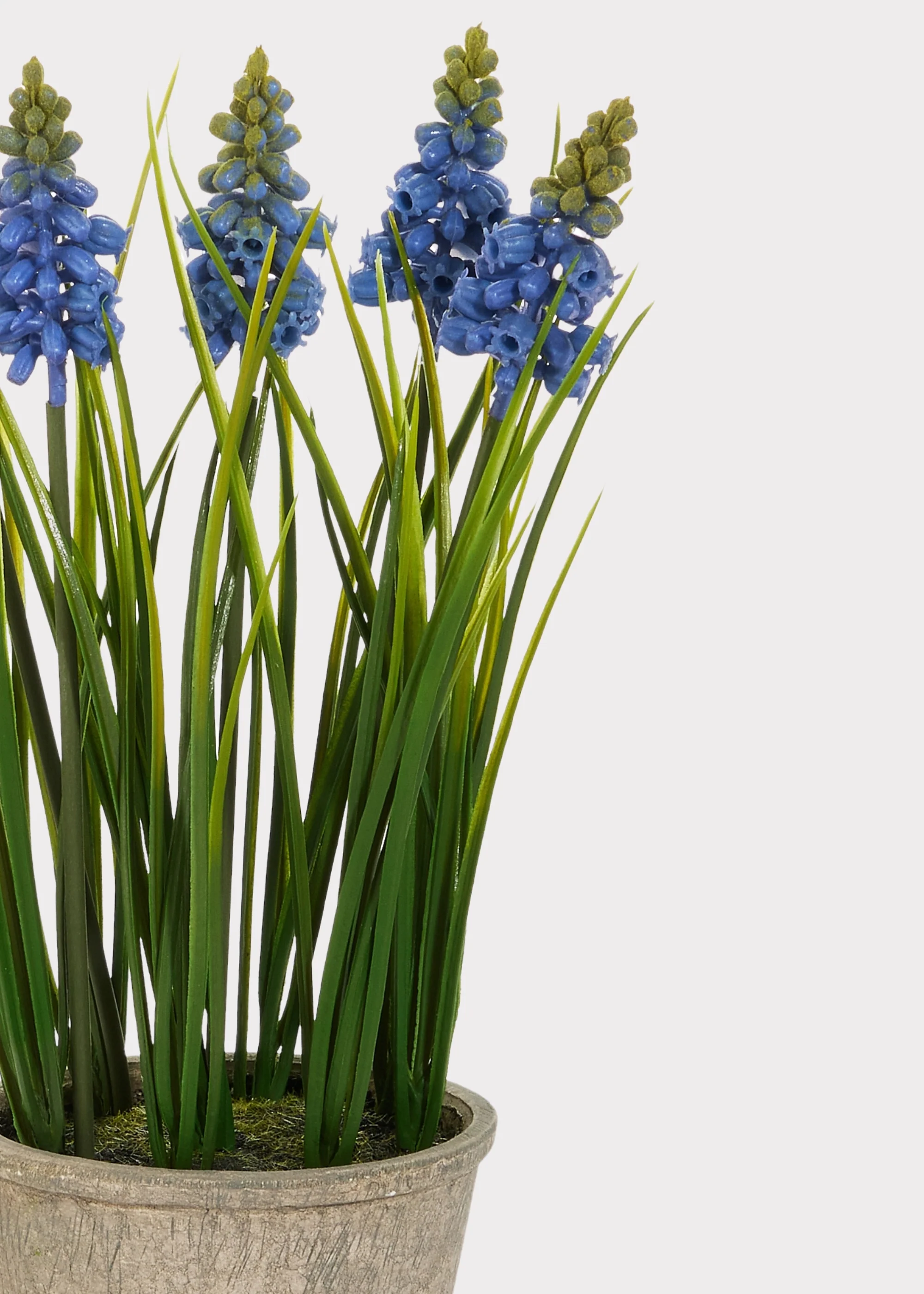 Blue Blooming Grape Hyacinth Fake Flower Potted Plant - 11.5" - Image 2