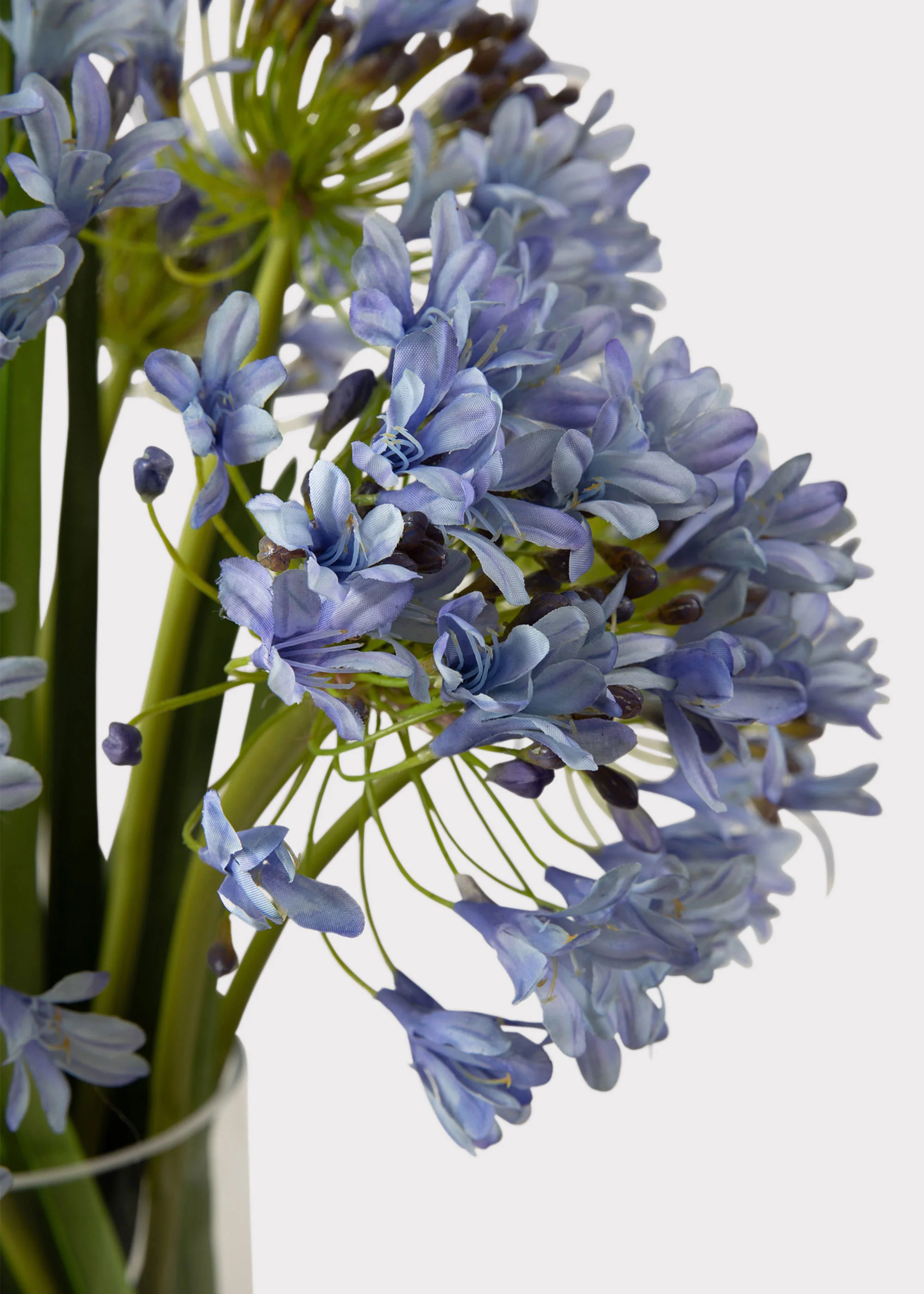 SALE - Blue Faux Agapanthus Flower Arrangement in Glass Vase - 31" - Image 4