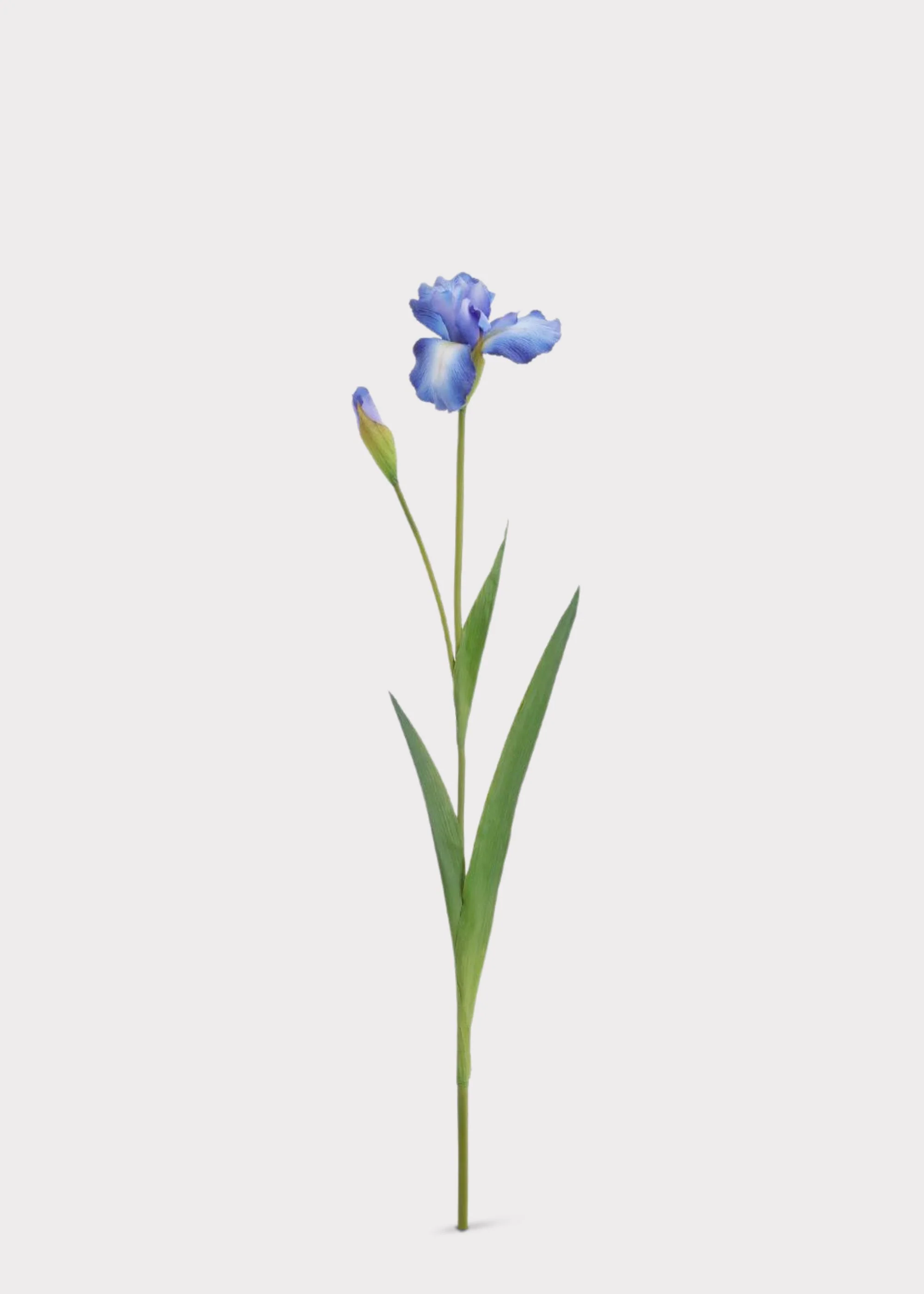 Blue Real Touch Iris Fake Flower - 29" - Image 2