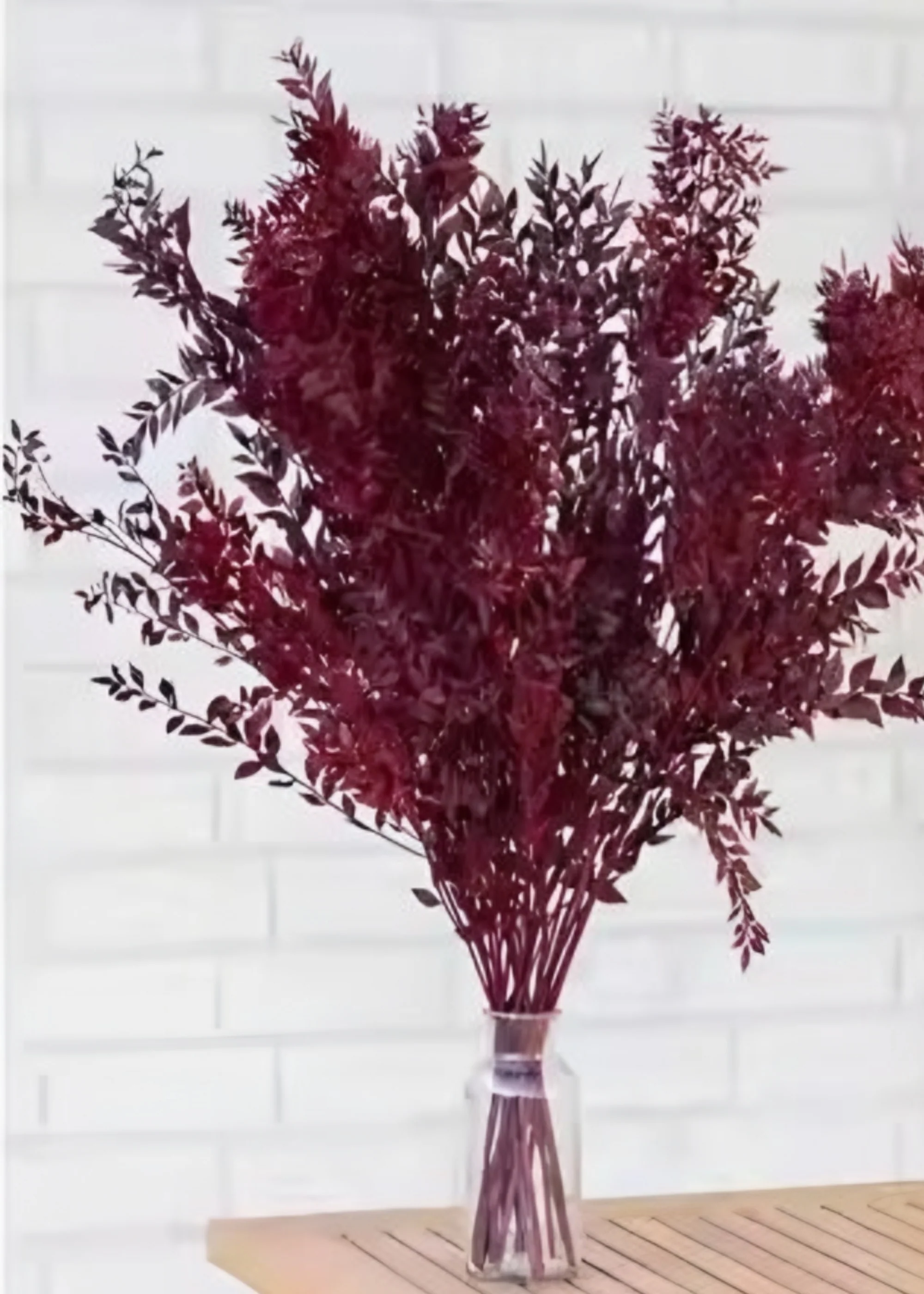 Red Preserved Ruscus Leaves - 1.5 oz Bunch - Image 4