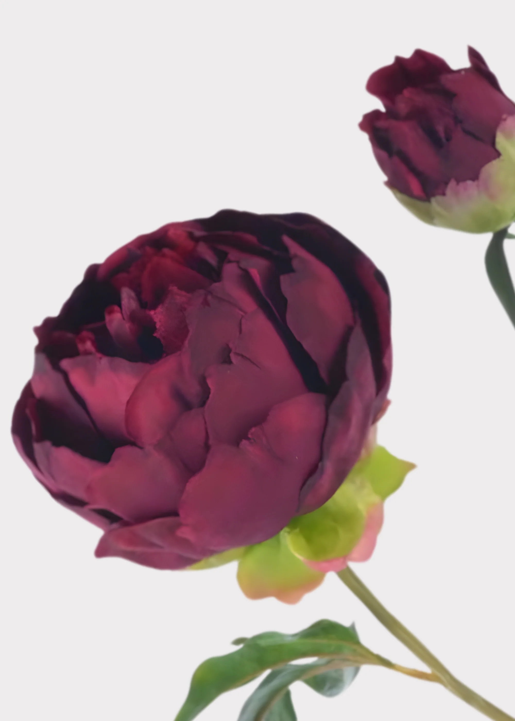 Plum Fuchsia Real Touch Peony - 27" - Image 4