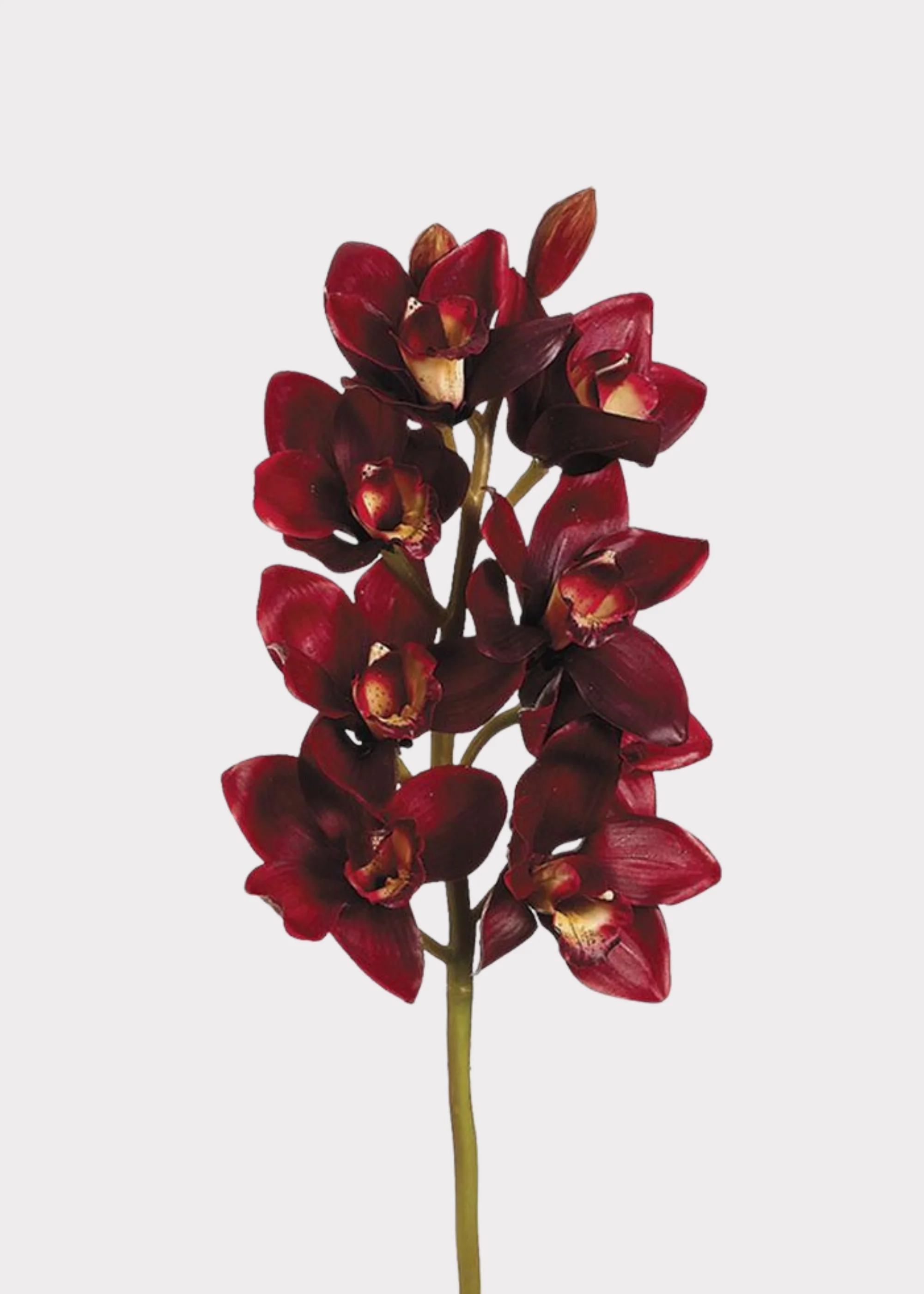 Burgundy Red Fake Cymbidium Orchid Flowers - 27"