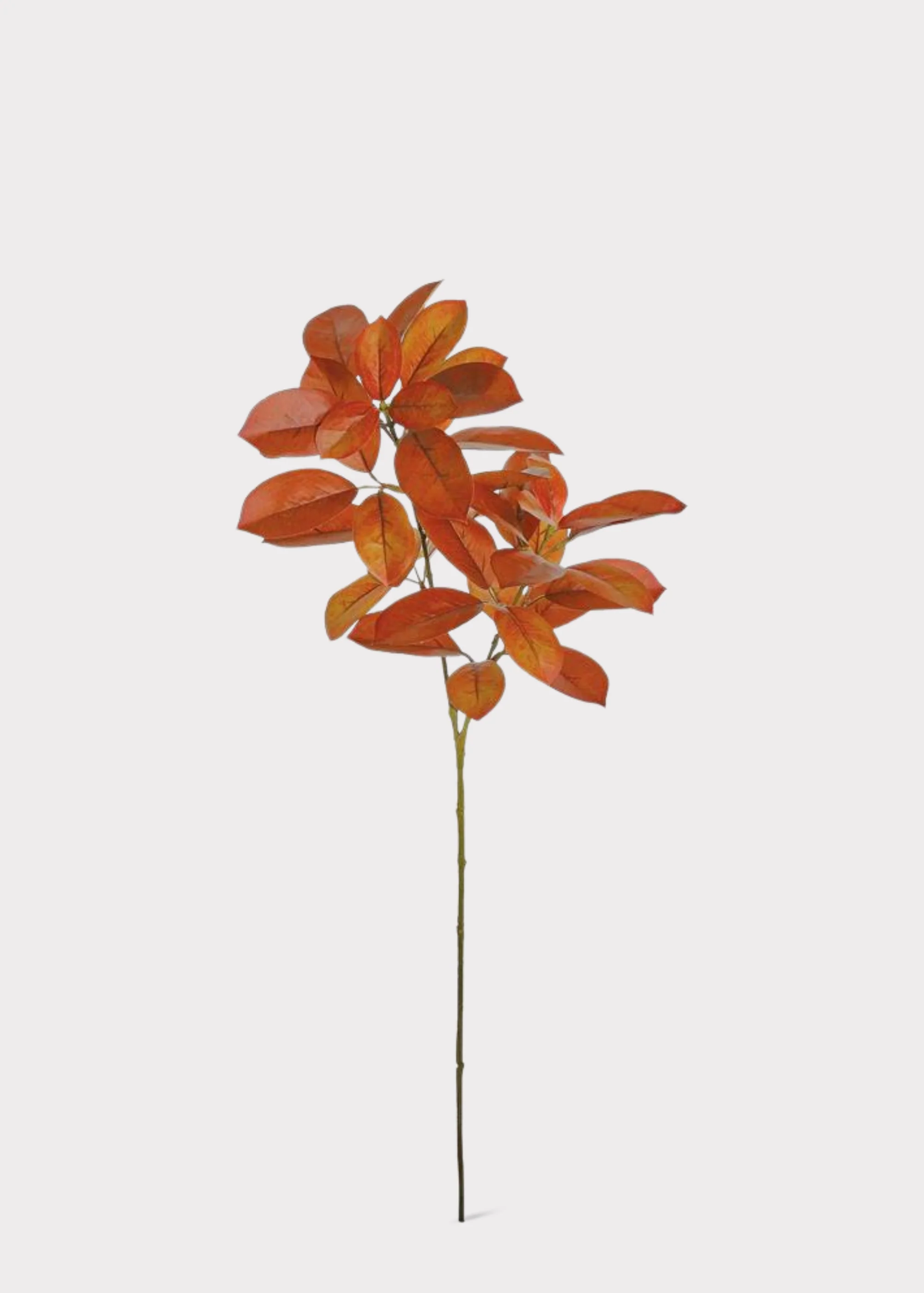 Burnt Orange and Burgundy Fake Fall Citrus Leaf Branch - 29.5" - Image 2