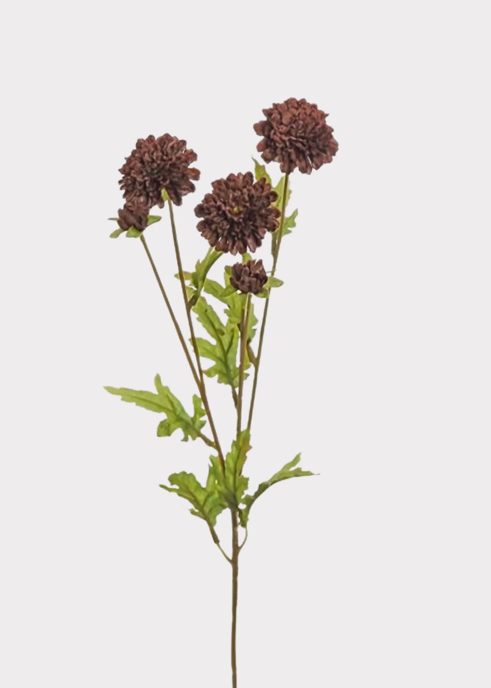 Chocolate Brown Artificial Pompon Mums - 27"