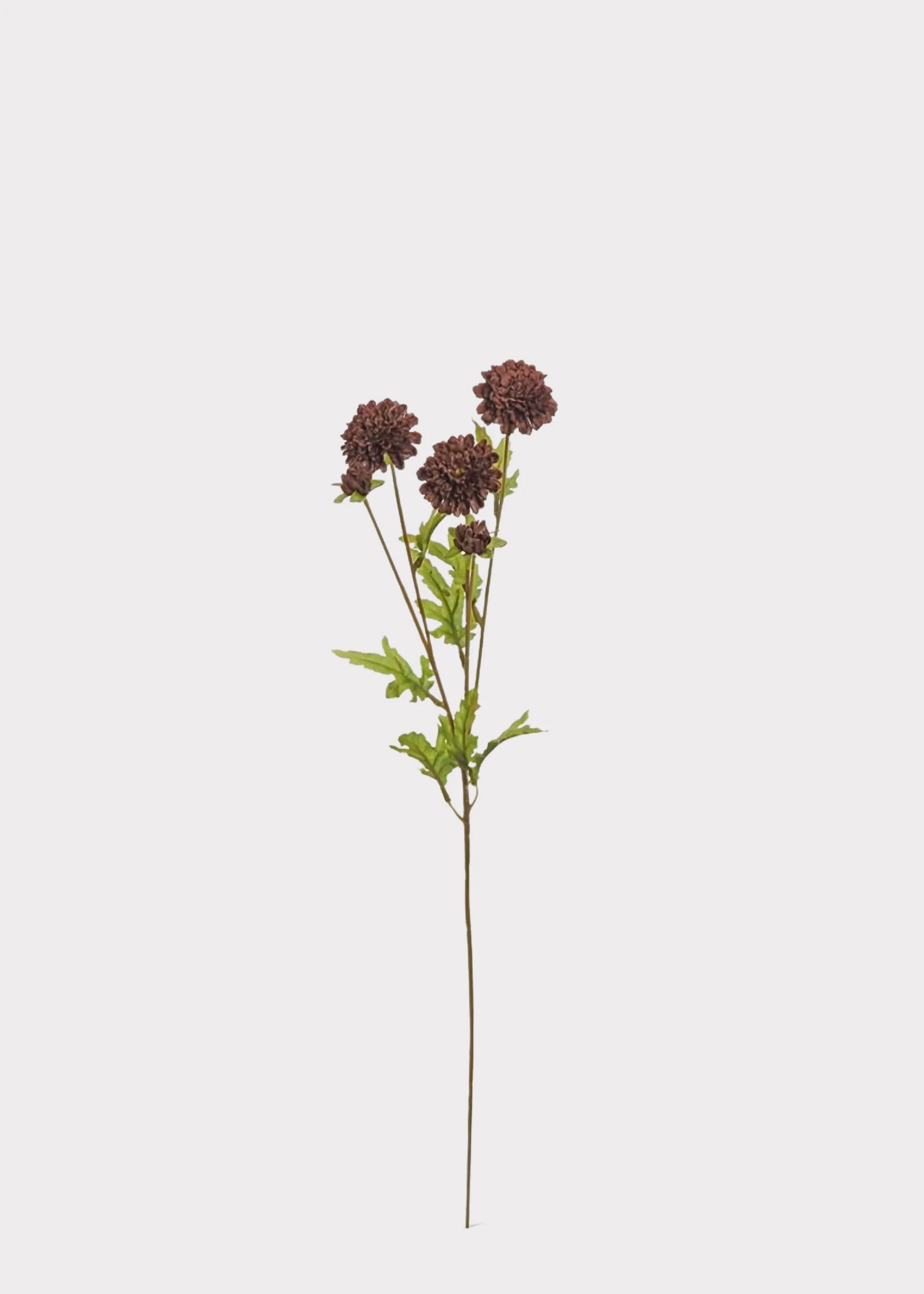 Chocolate Brown Artificial Pompon Mums - 27" - Image 2