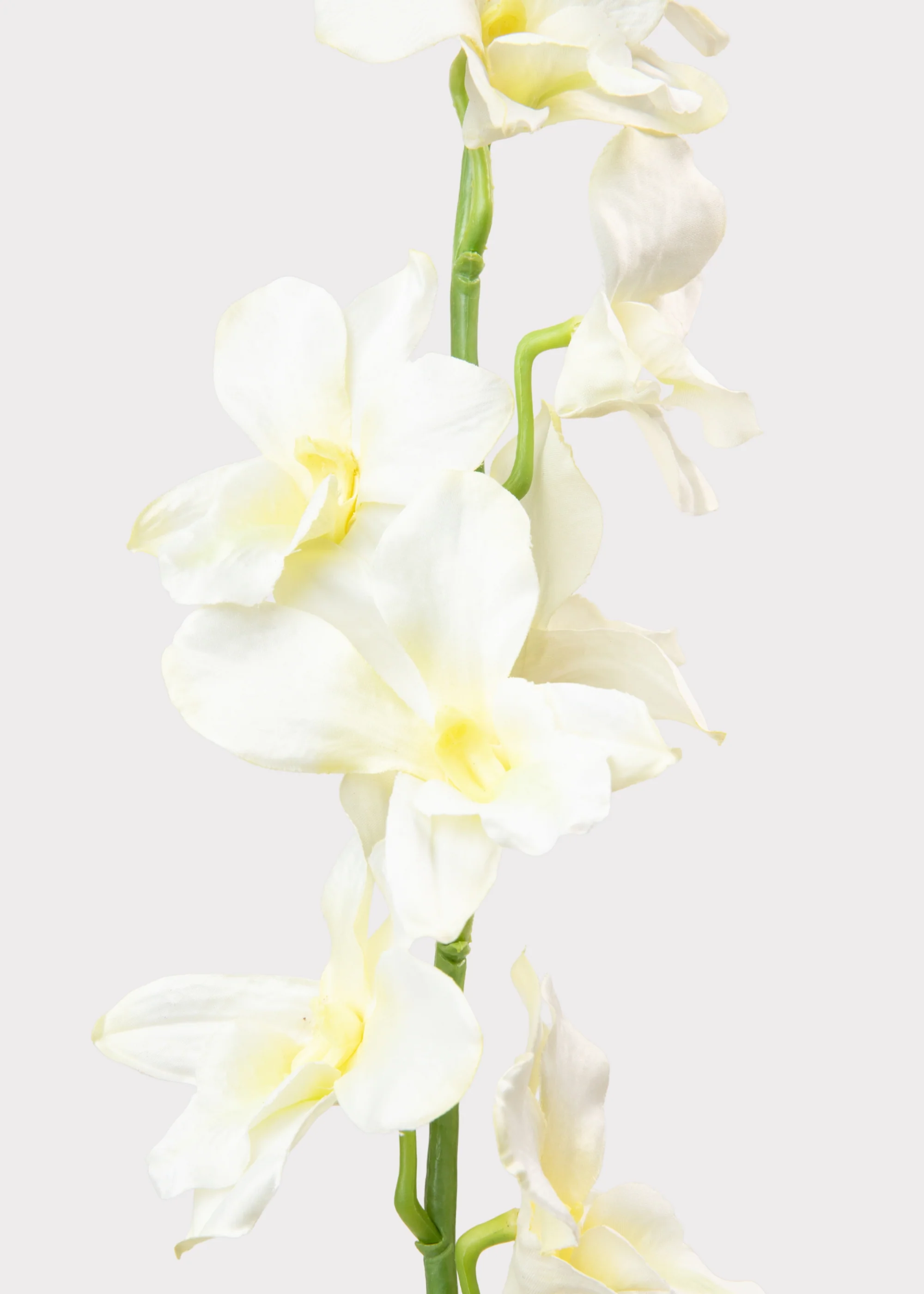 Cream Artificial Dendrobium Orchid Flower Branch - 35.5" - Image 2