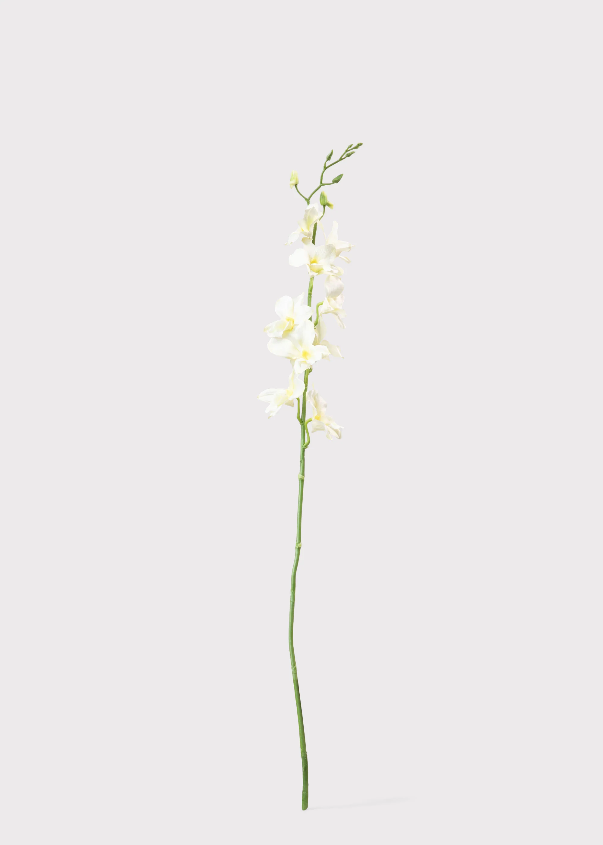Cream Artificial Dendrobium Orchid Flower Branch - 35.5" - Image 3