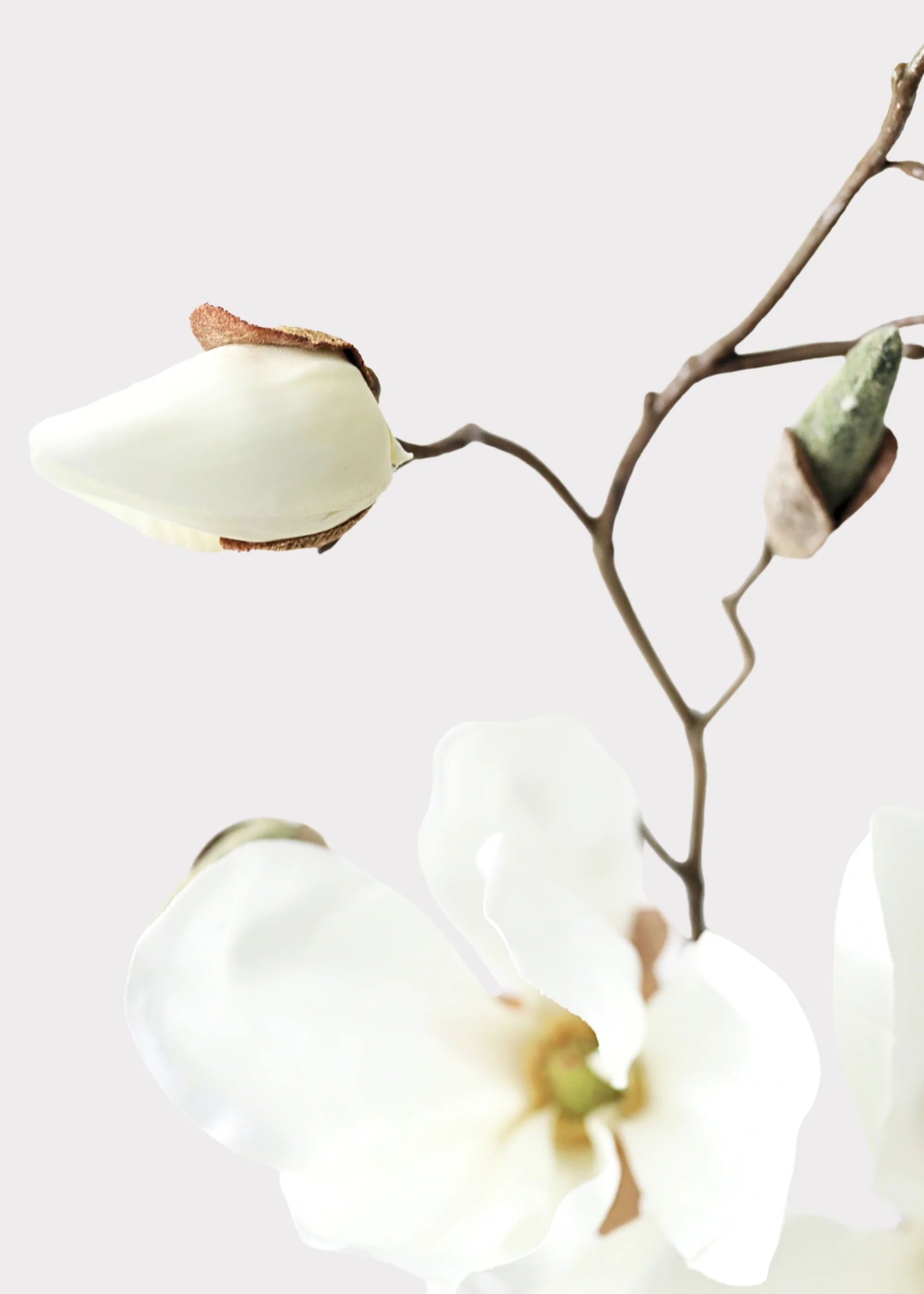 Cream Artificial Magnolia Flower Stem - 19" - Image 3
