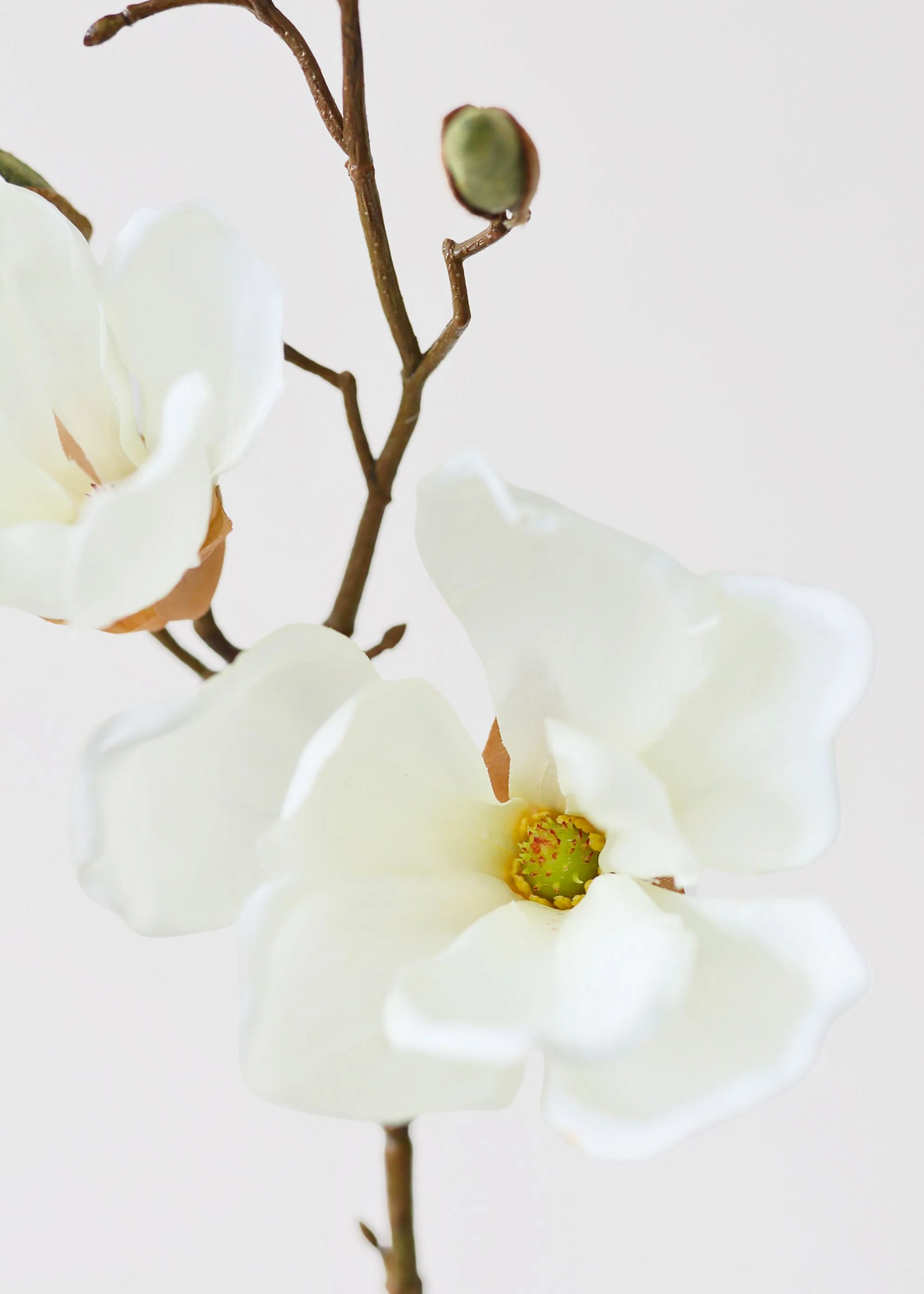 Cream Artificial Magnolia Flower Stem - 19" - Image 4