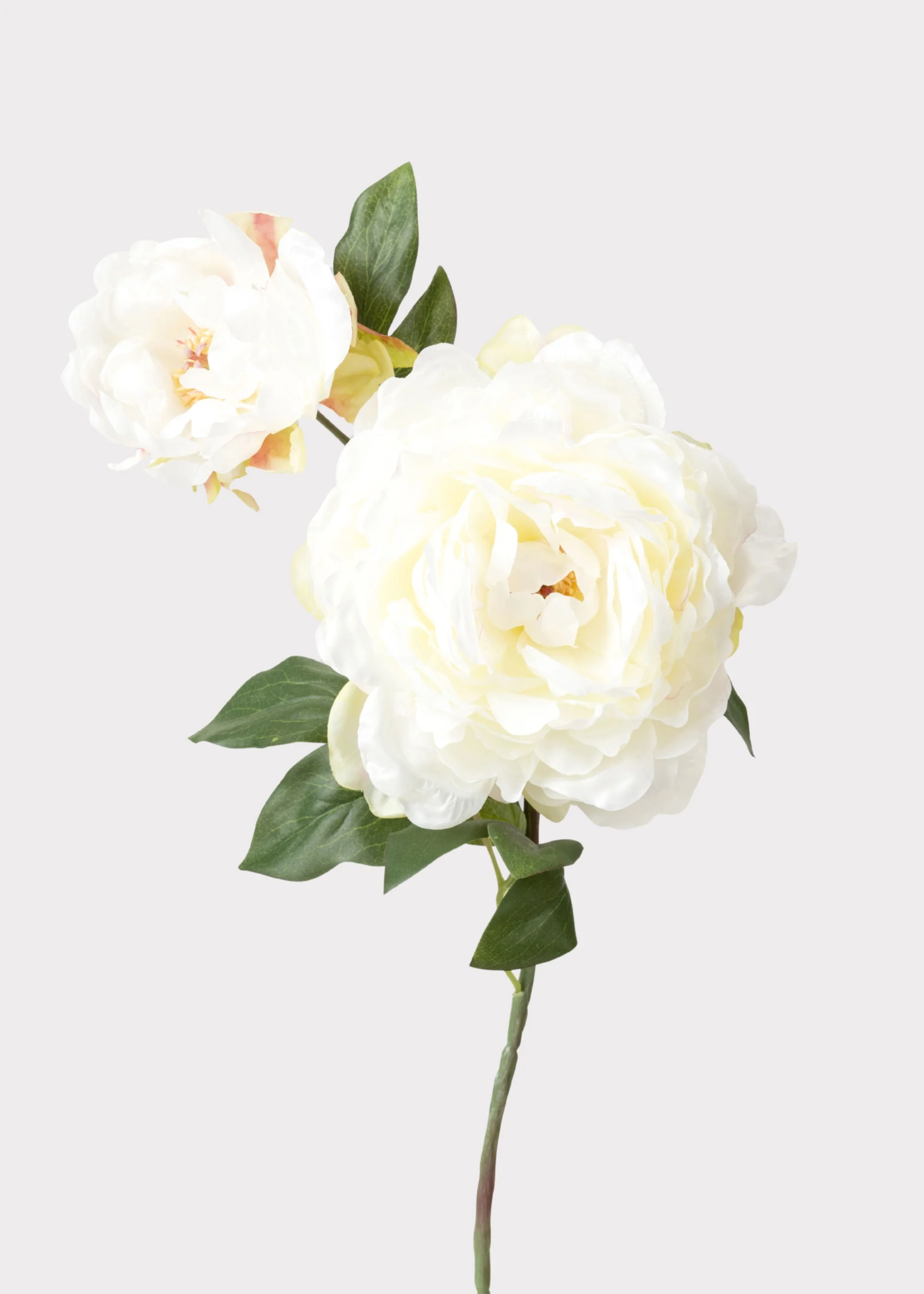 Cream Fake Blooming Peony with Bud - 19.5"