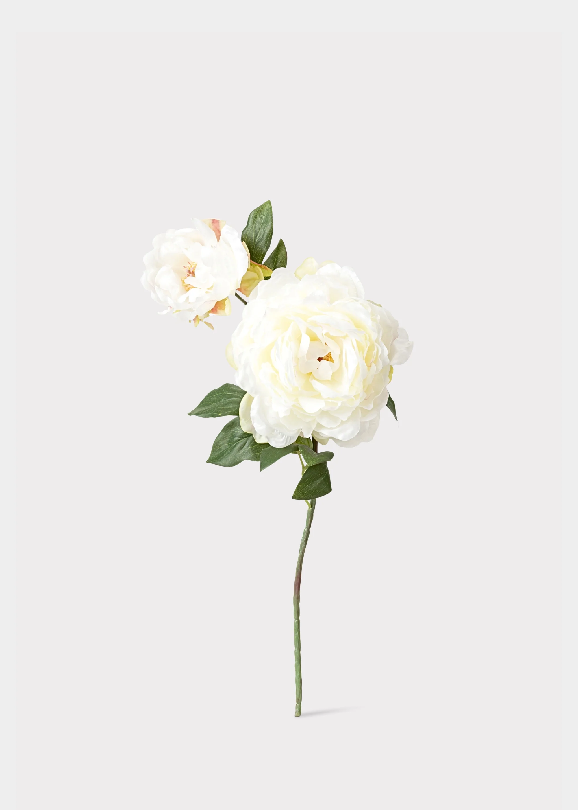 Cream Fake Blooming Peony with Bud - 19.5" - Image 2