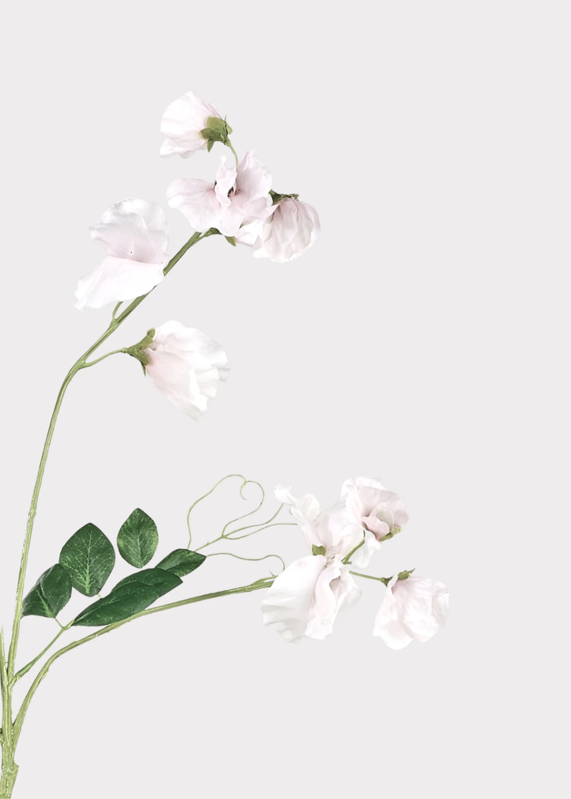 Cream Fake Sweet Pea Wildflowers - 26.75" - Image 3