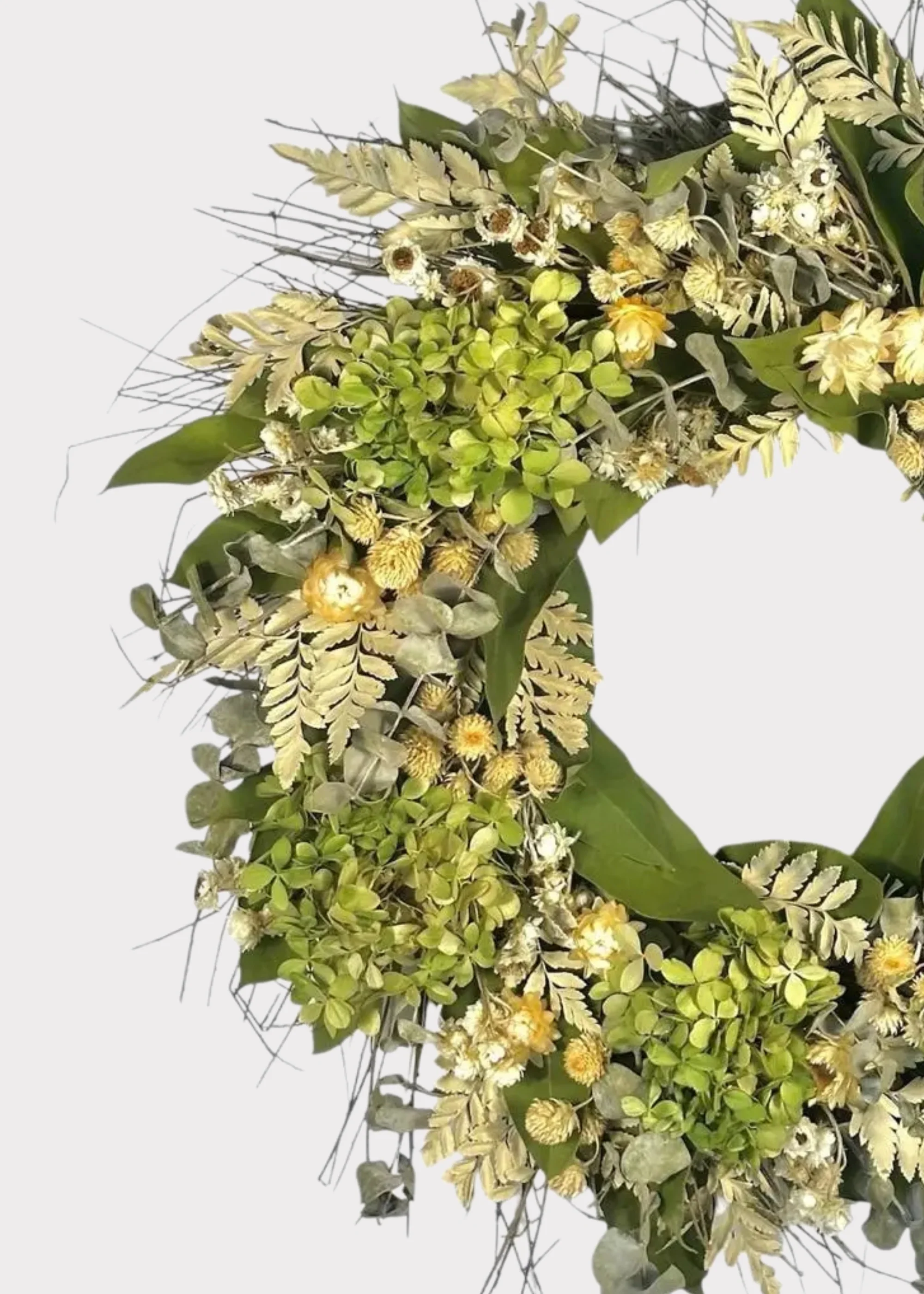 Cream Green Dried Hydrangea Flower and Eucalyptus Wreath - 22" - Image 3