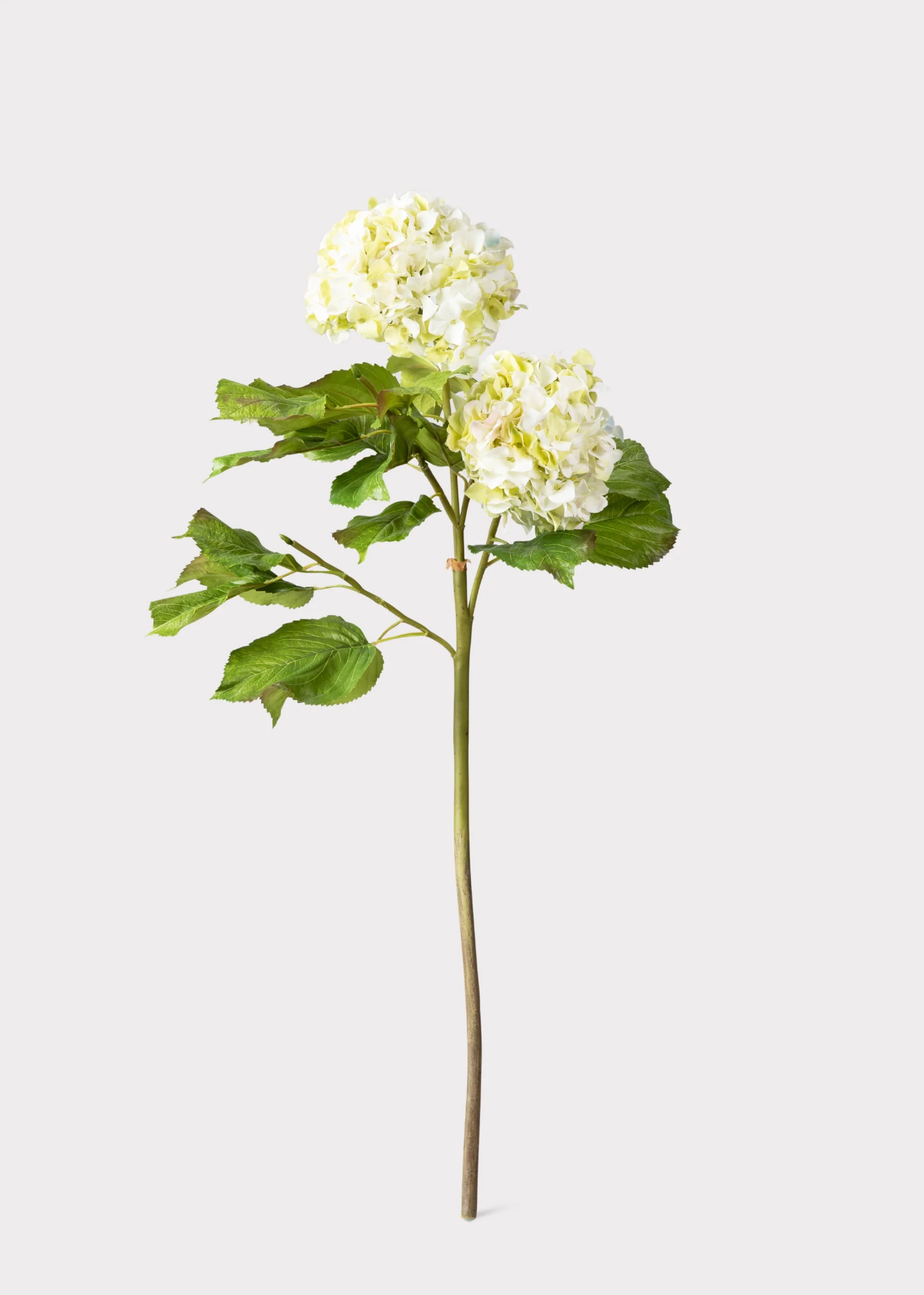 Cream Green Artificial Hydrangea Branch - 36" - Image 3