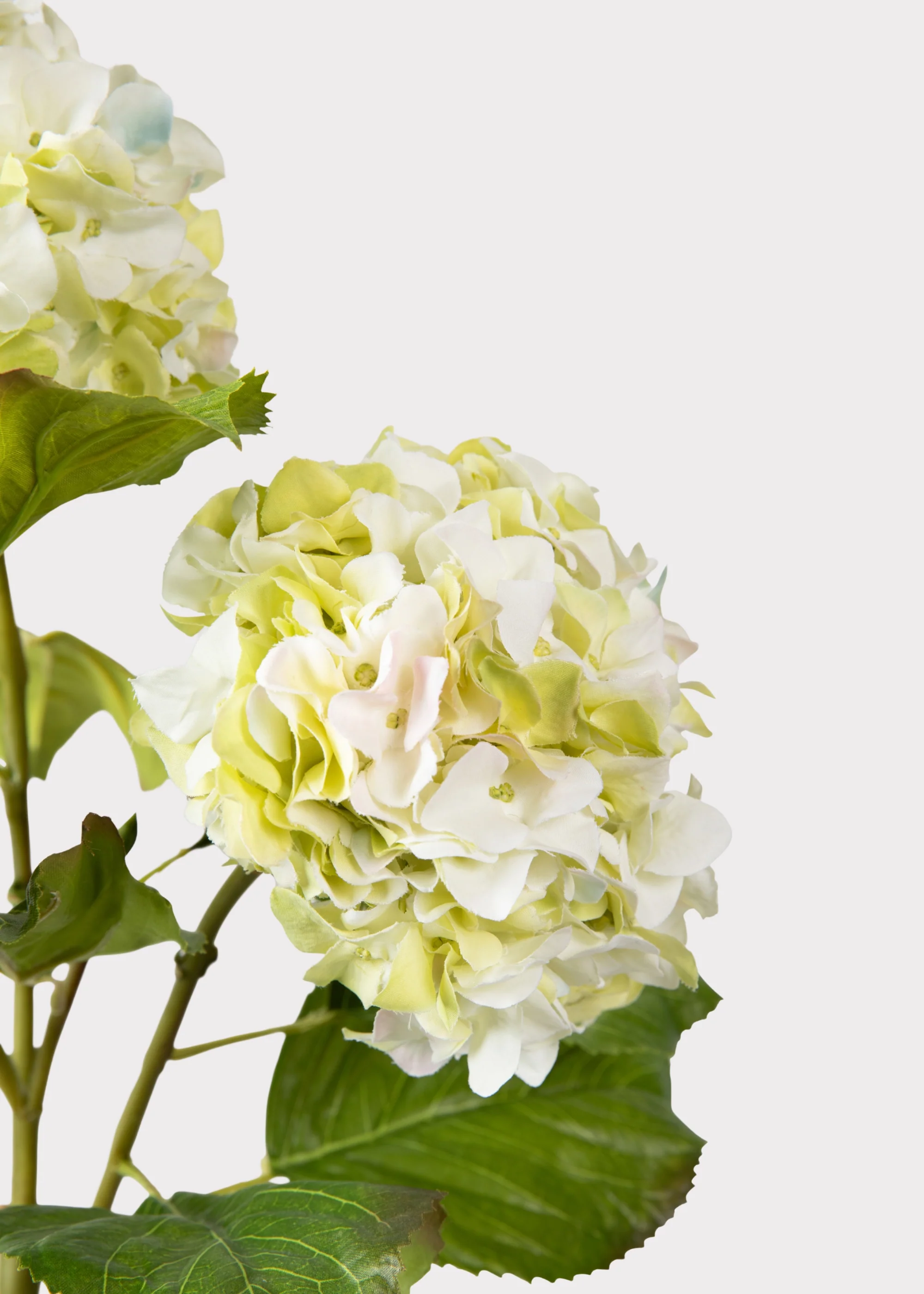 Cream Green Artificial Hydrangea Branch - 36" - Image 5