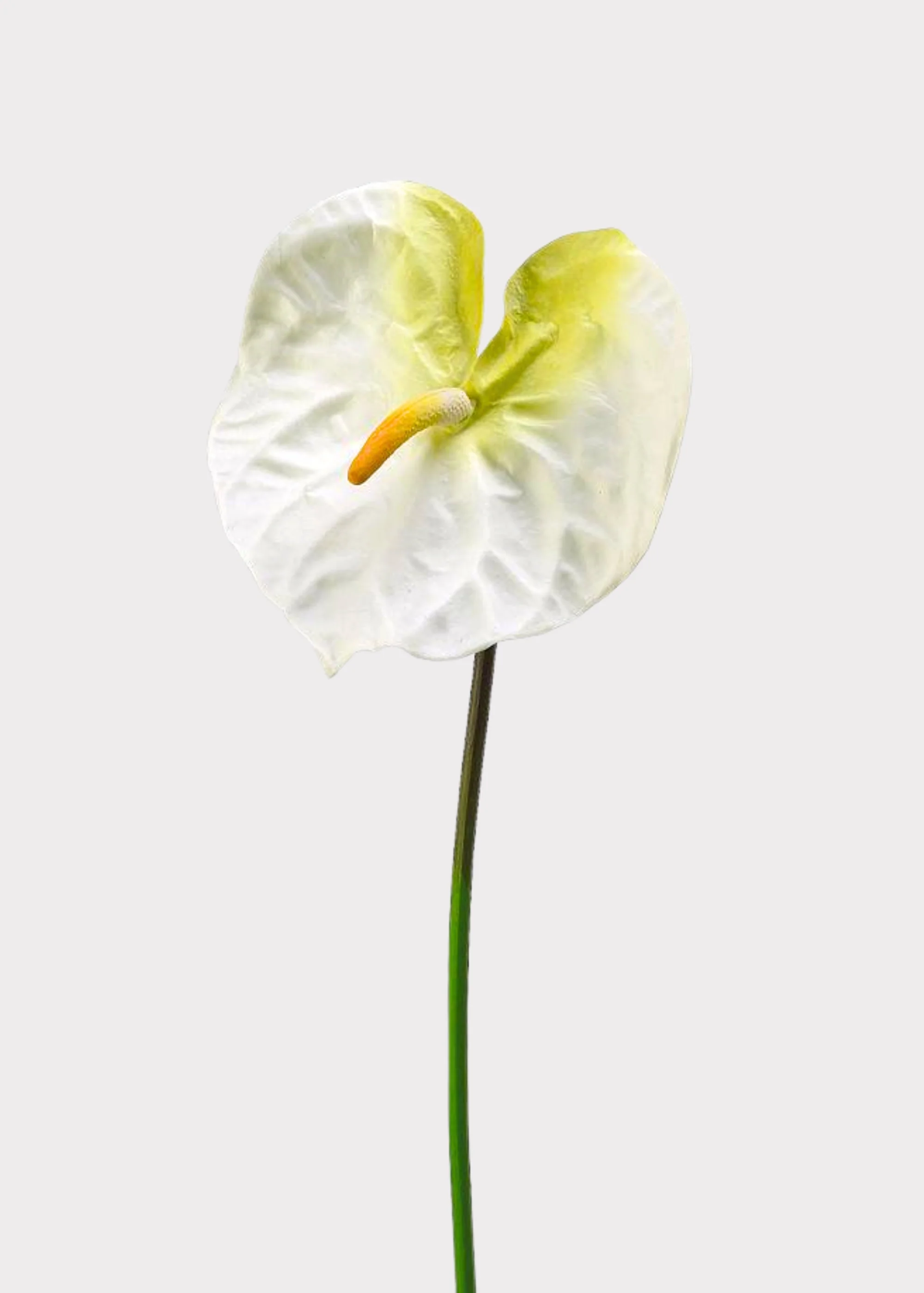 Cream White Artificial Anthurium Tropical Flower - 27"