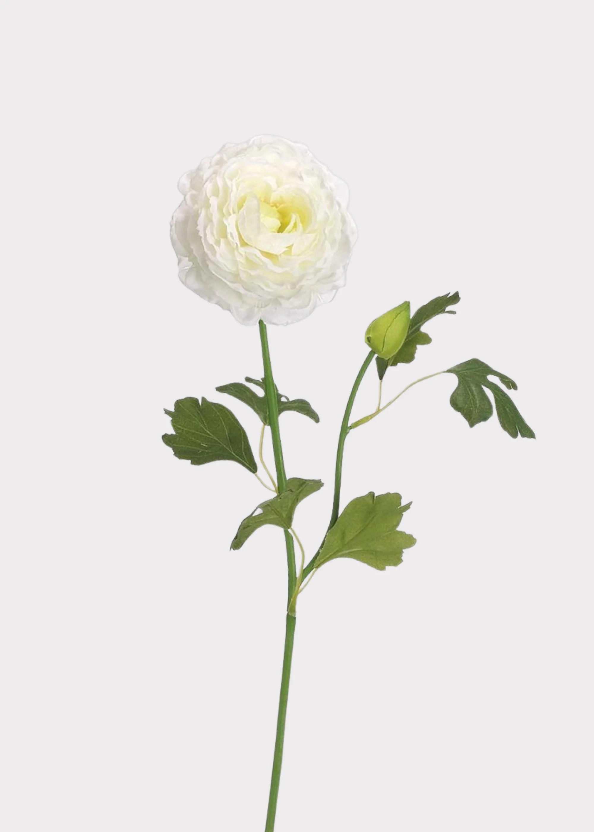 Cream White Artificial Ranunculus Flower - 19"