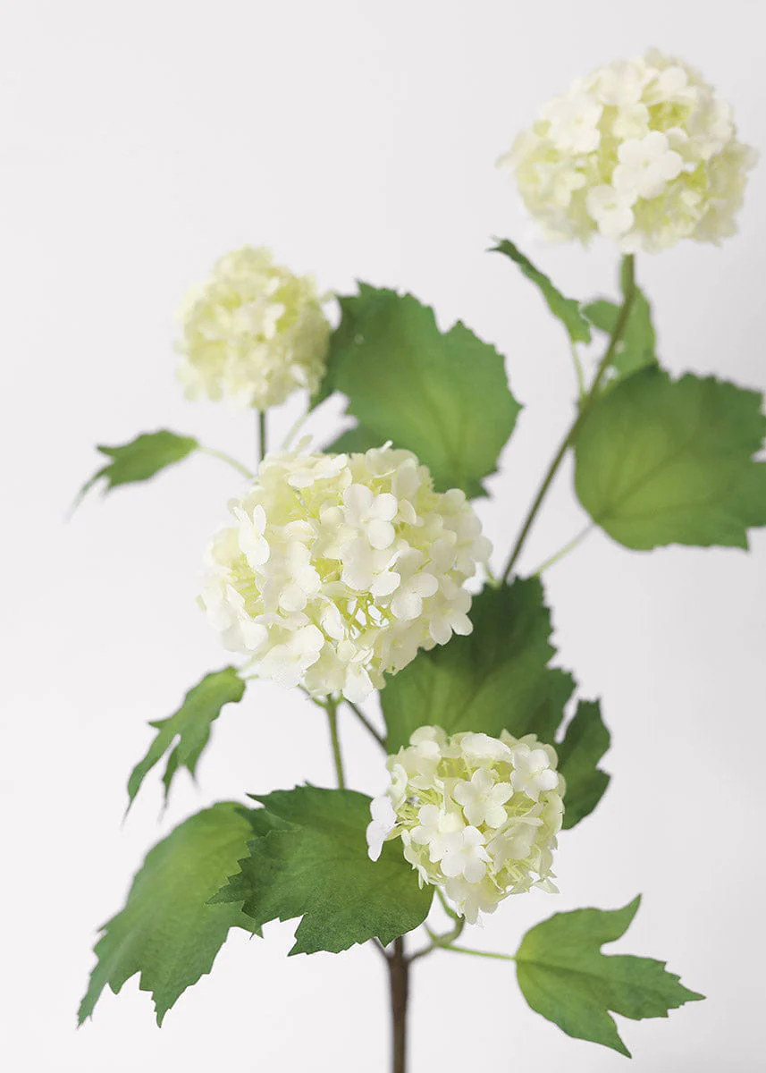 SAVE - Cream White Artificial Snowball Flowers - 24" - Image 4
