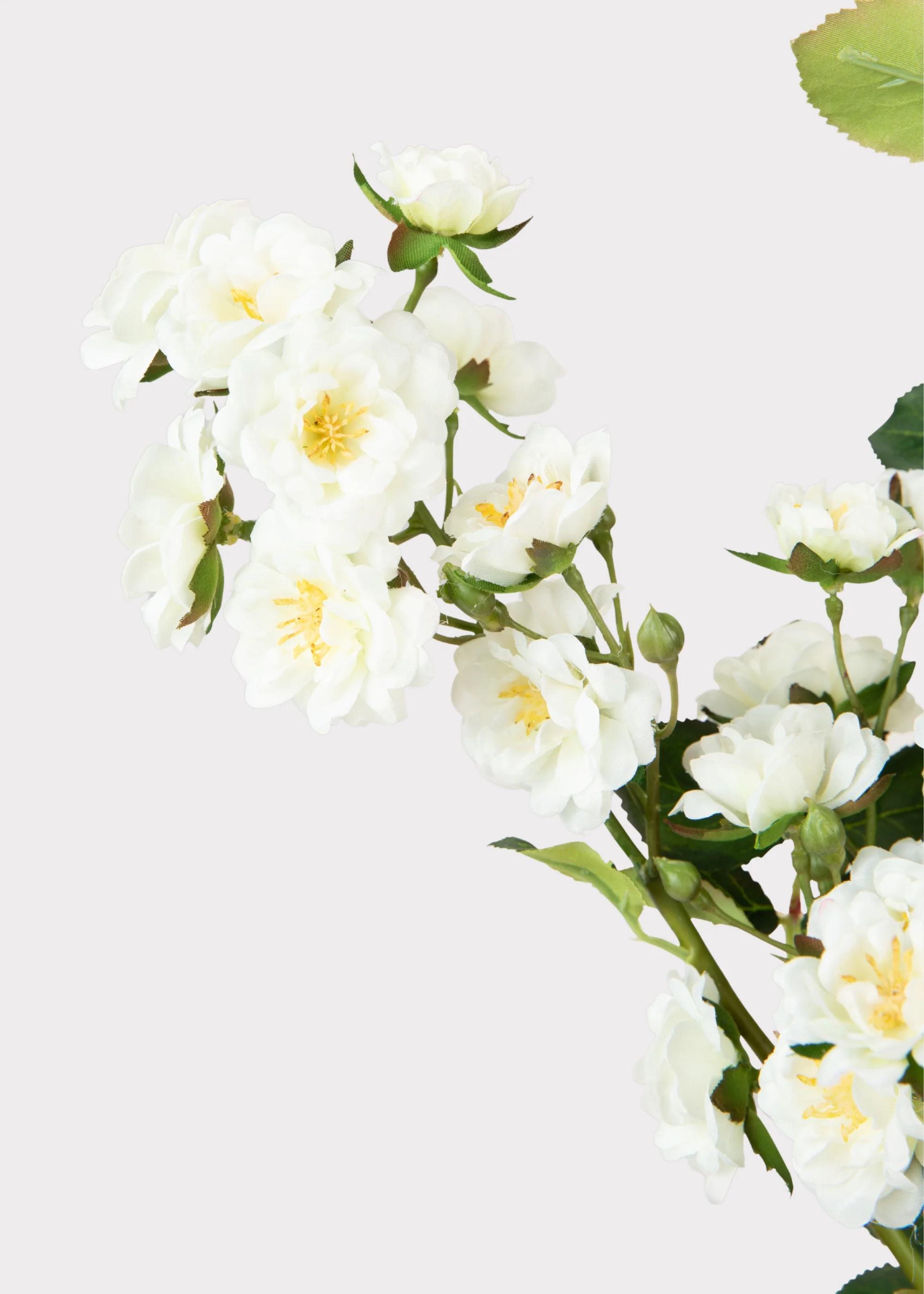 Climbing Fake Roses Branch in Cream White - 33" - Image 2