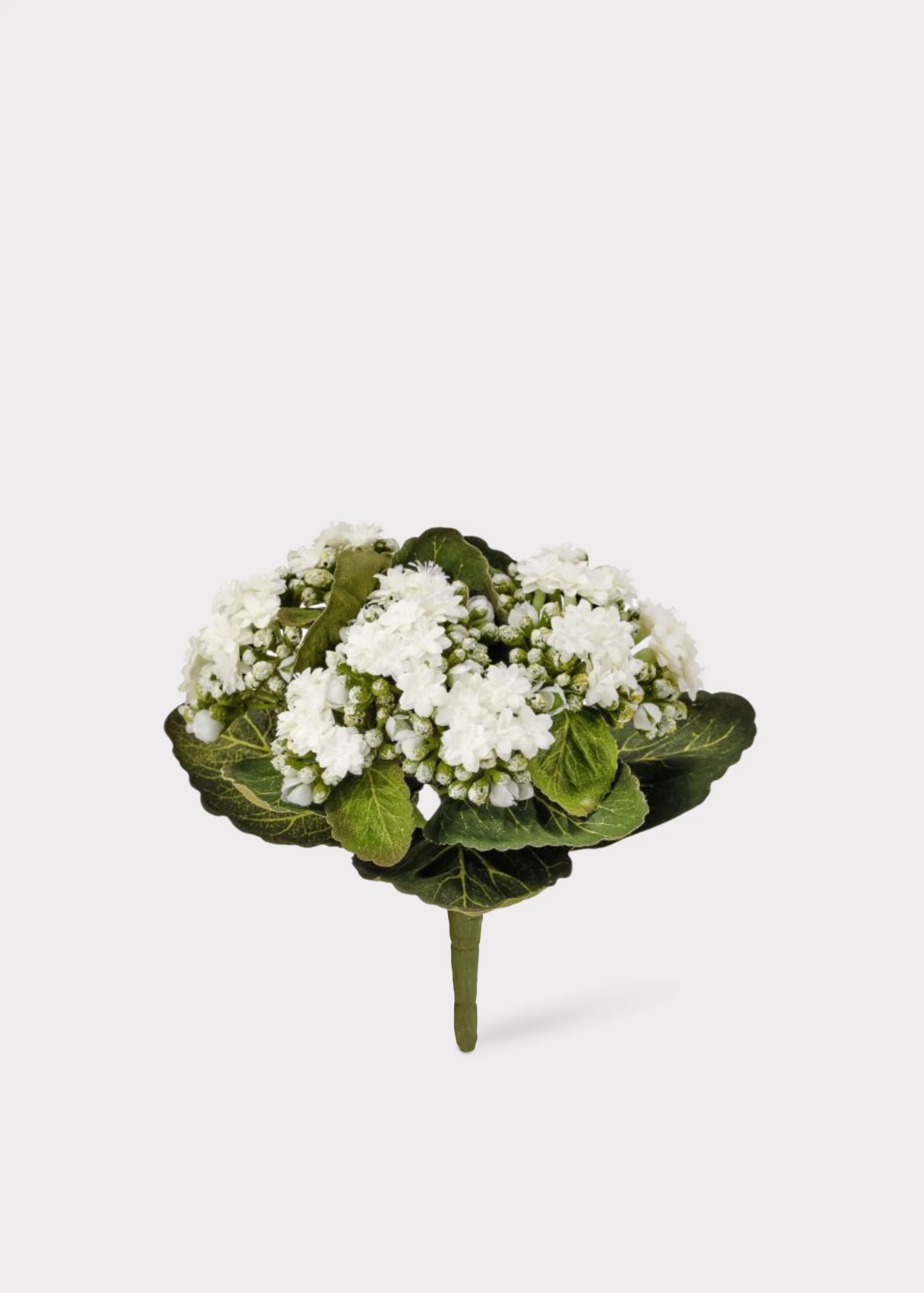 Cream White Small Fake Kalanchoe Blooming Plant - 9"