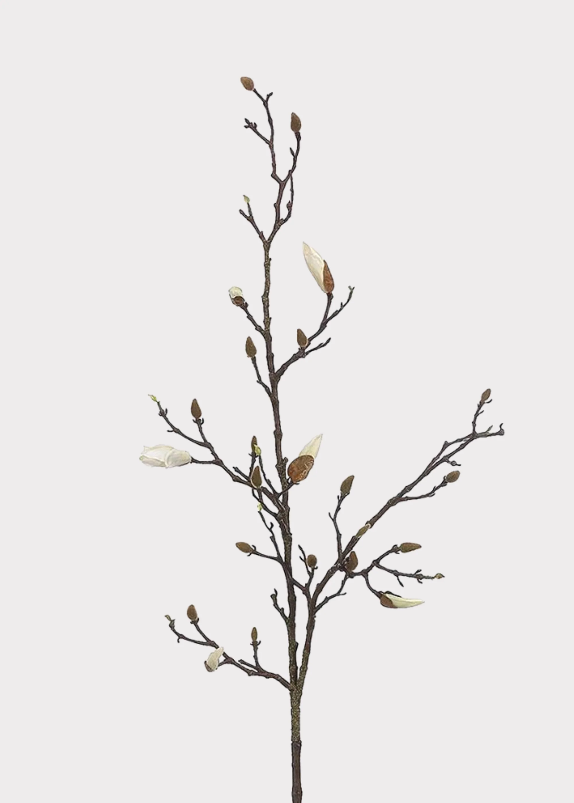 Cream White Tall Budding Magnolia Fake Flower Branch - 53"