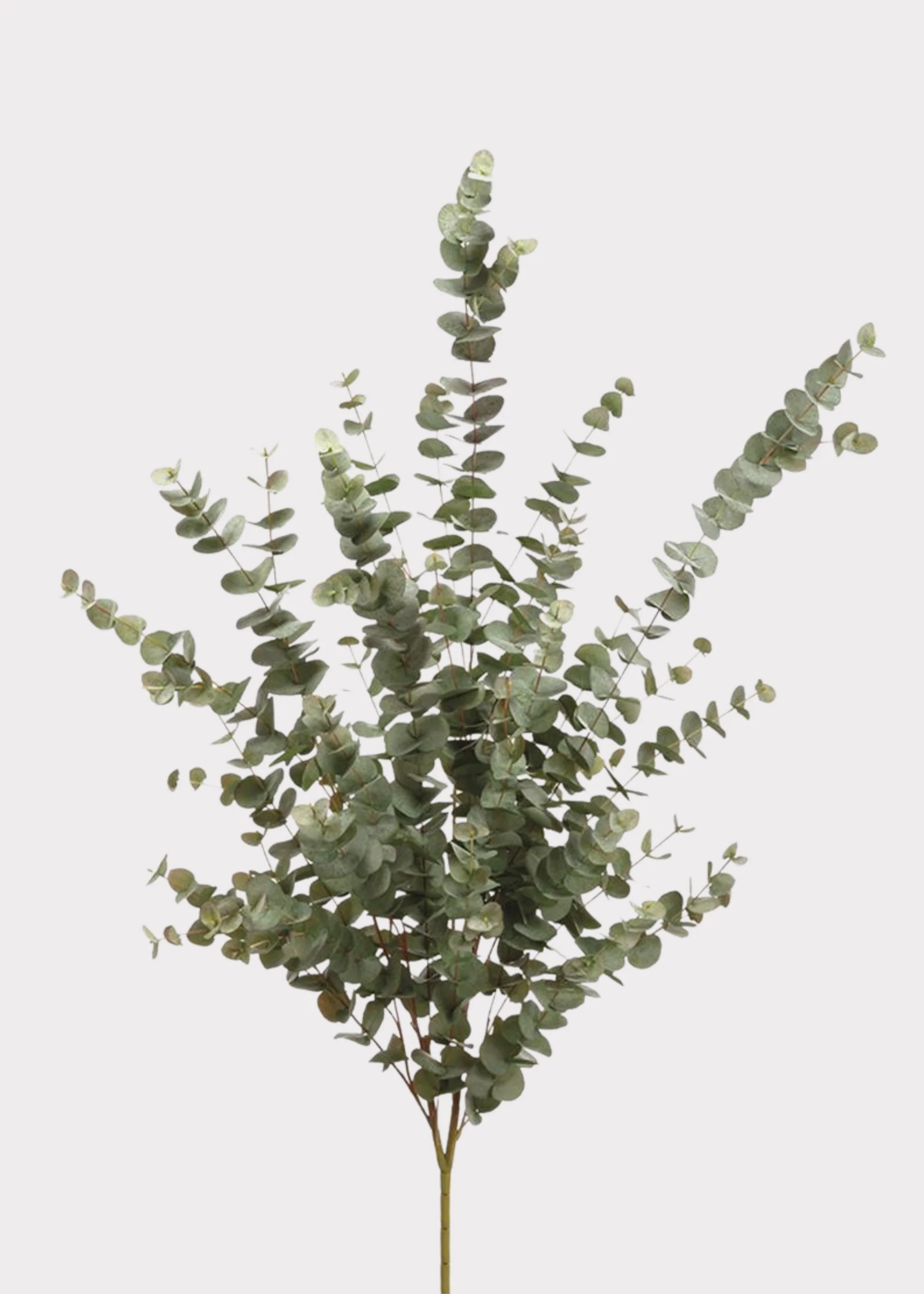 Artificial Eucalyptus Large Foliage Bush - 57"