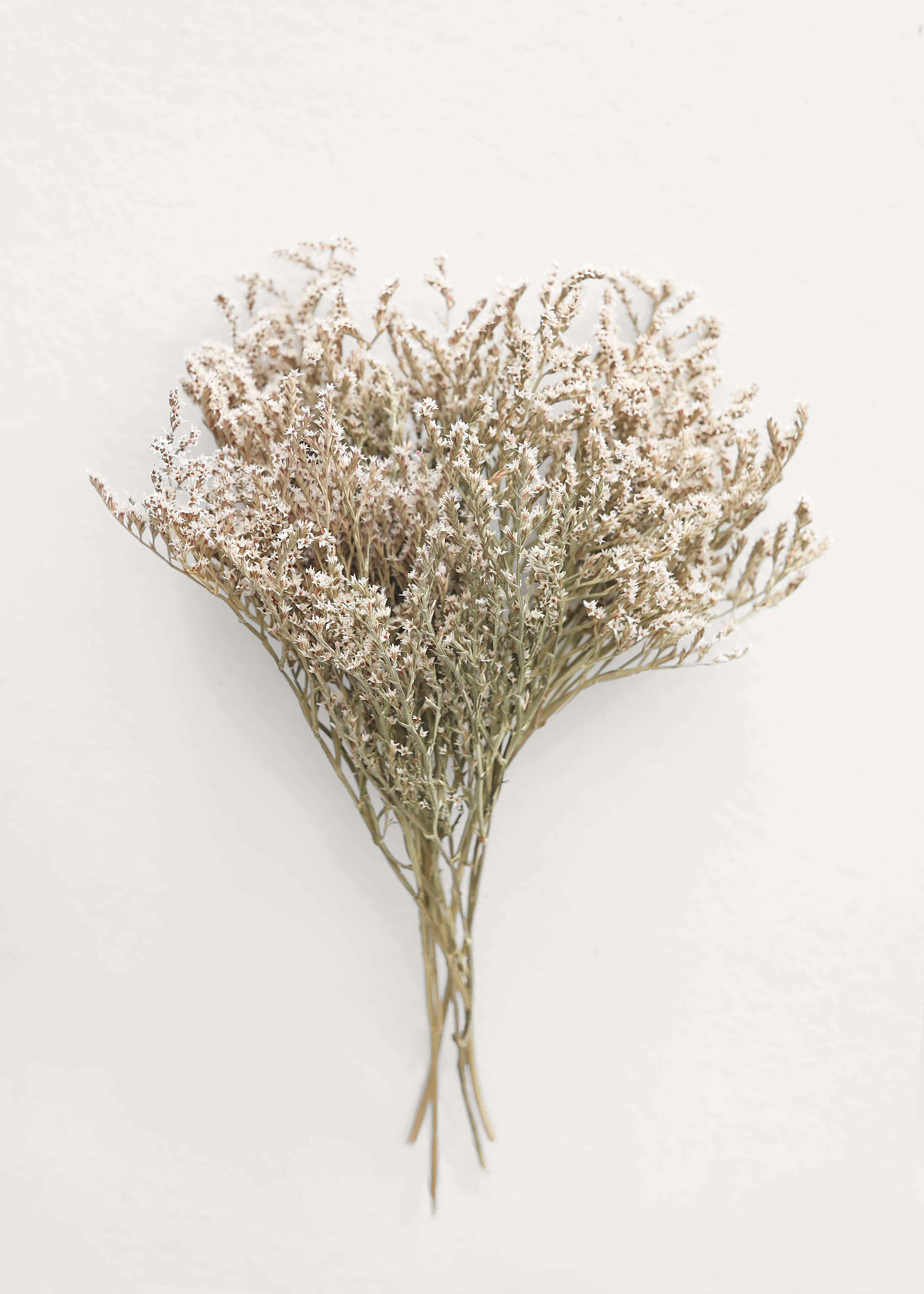 Natural Dried German Limonium Bundle - 10-13" - Image 2