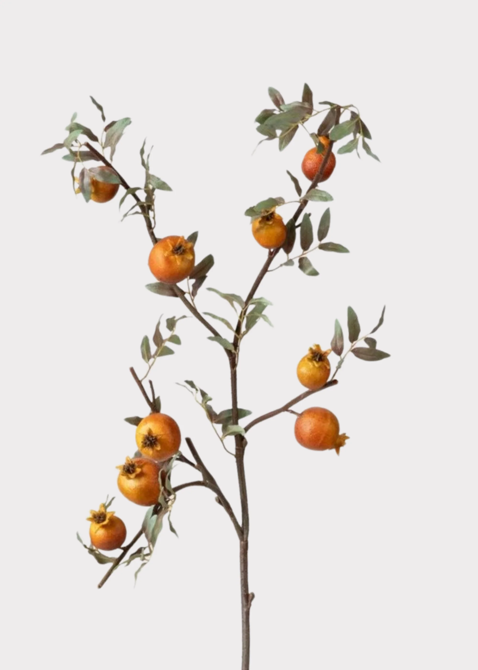 Dried Look Faux Pomegranate Branch - 44"