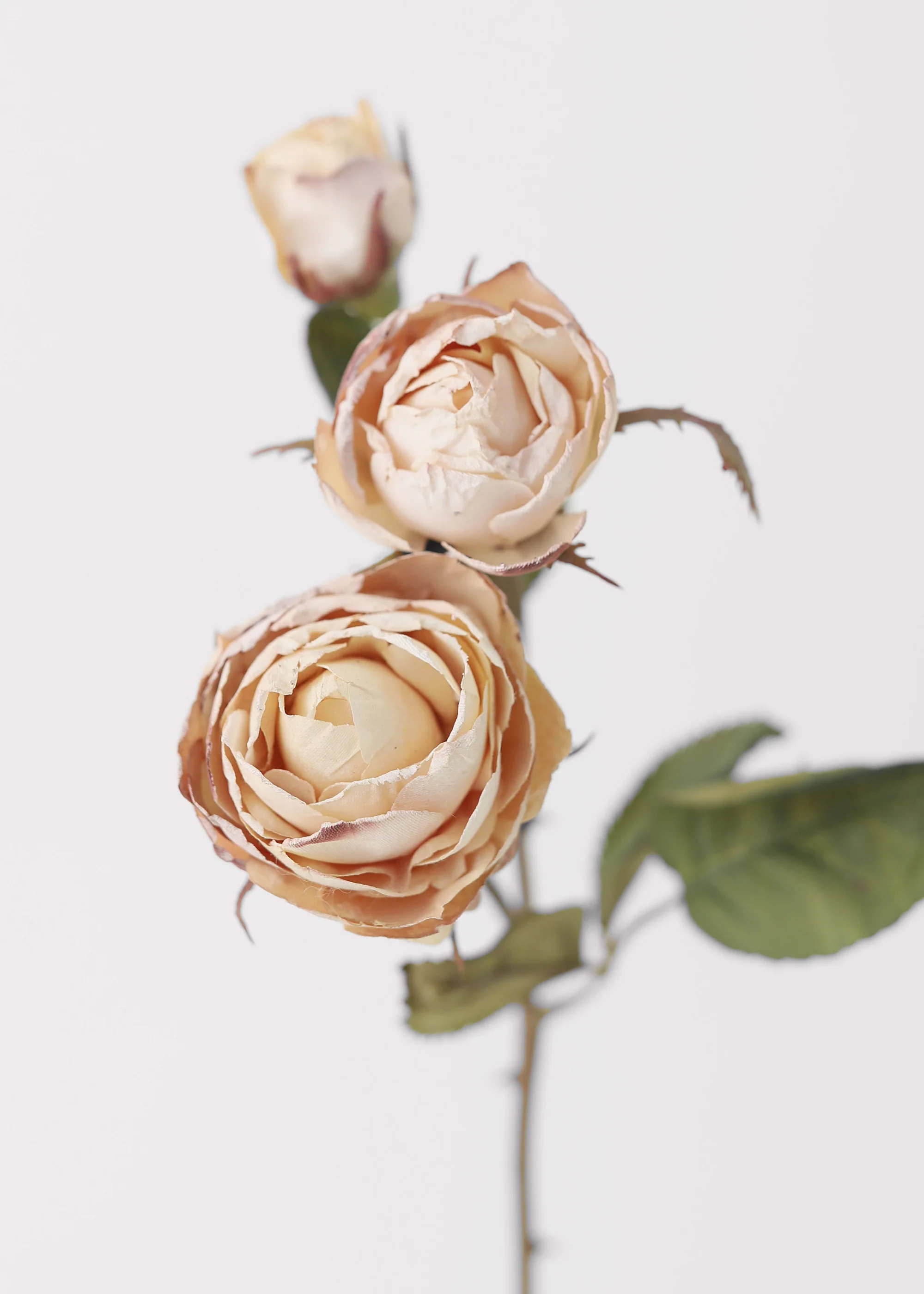 Dried Look Fake Roses in Beige - 21" - Image 4