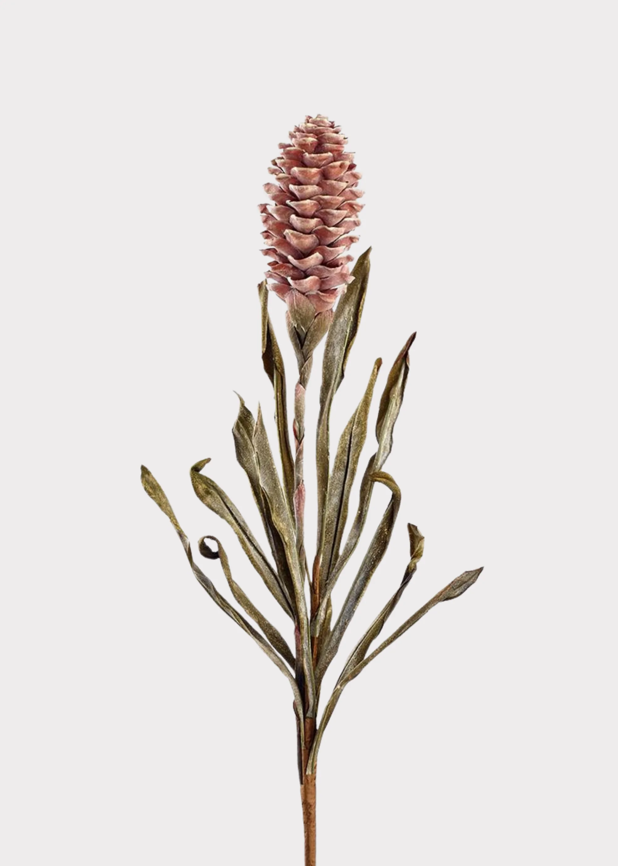 Dried Look Tropical Ginger Fake Flower in Earthy Brown - 33.5"