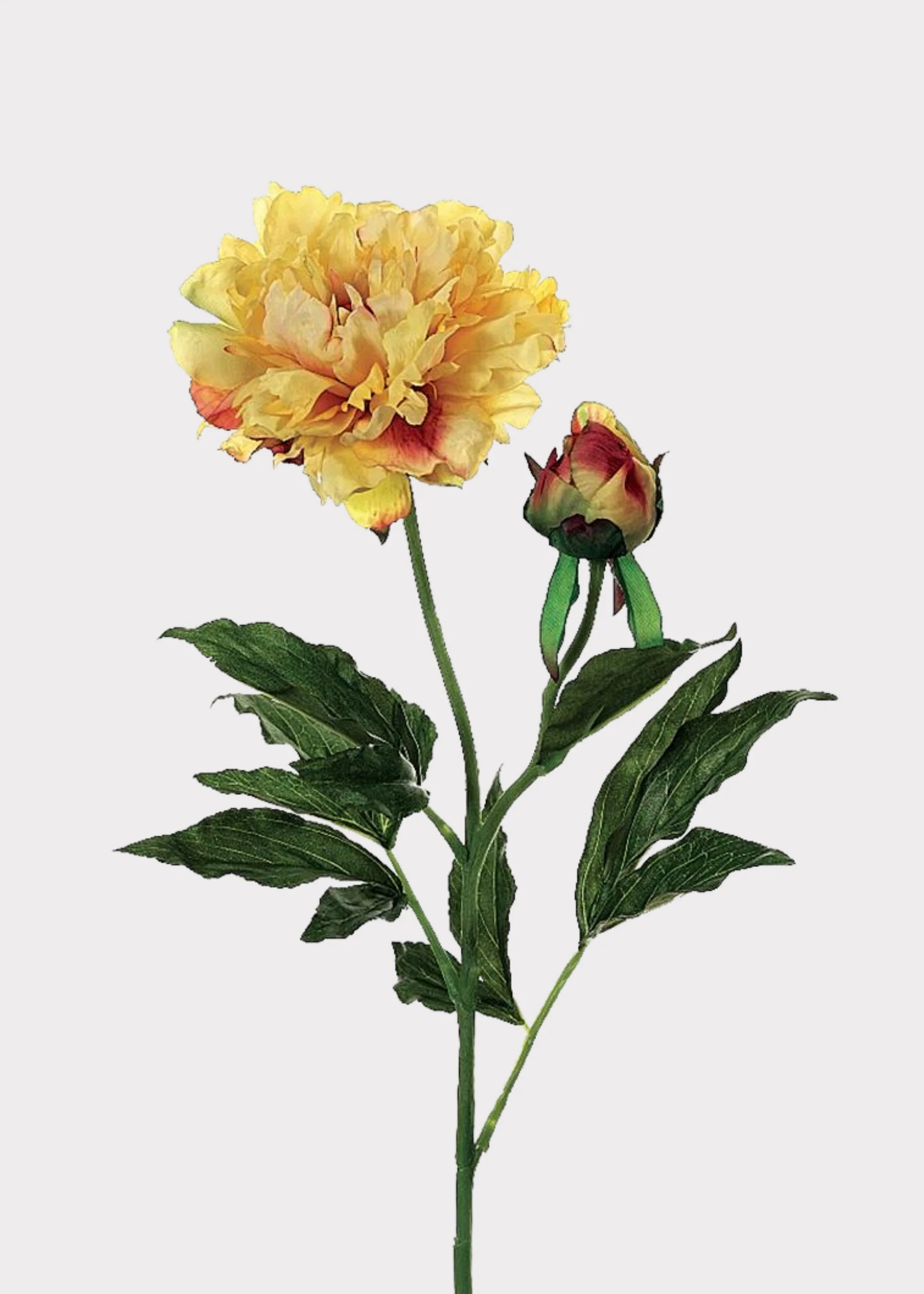 Fake Peony Flower in Golden Sunset - 28"