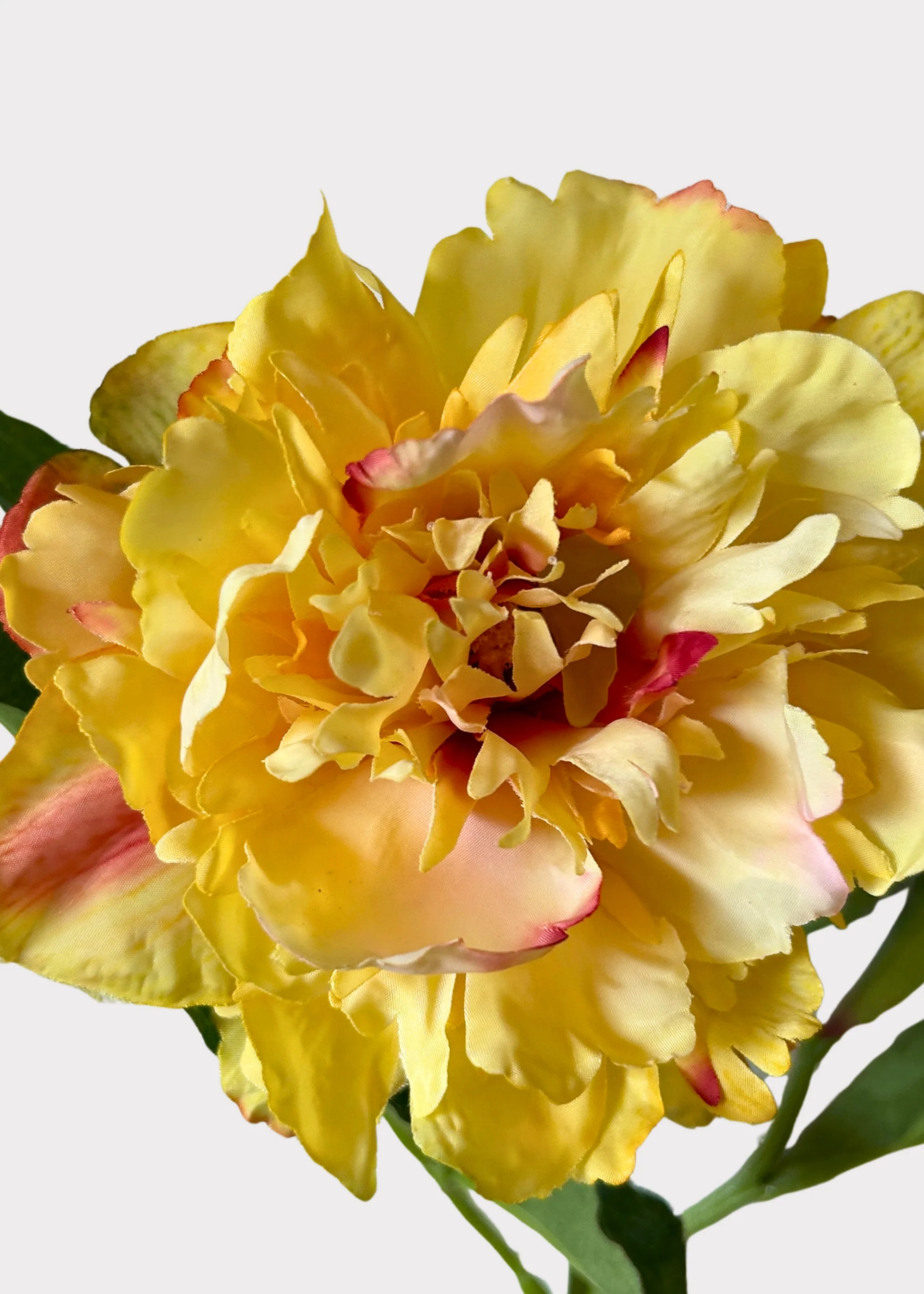 Fake Peony Flower in Golden Sunset - 28" - Image 2
