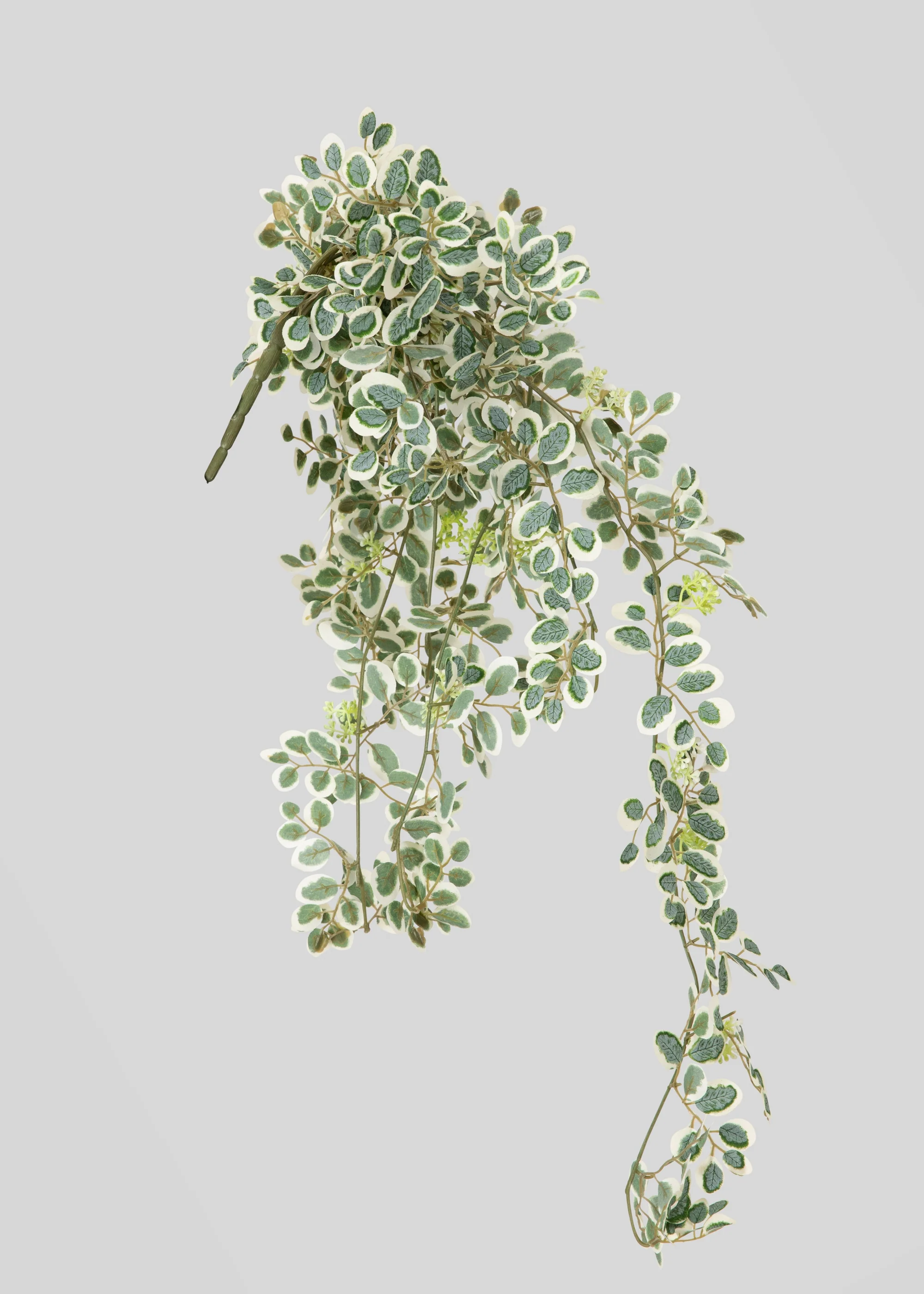 Fake Button Leaf Hanging Plant - 35" - Image 5